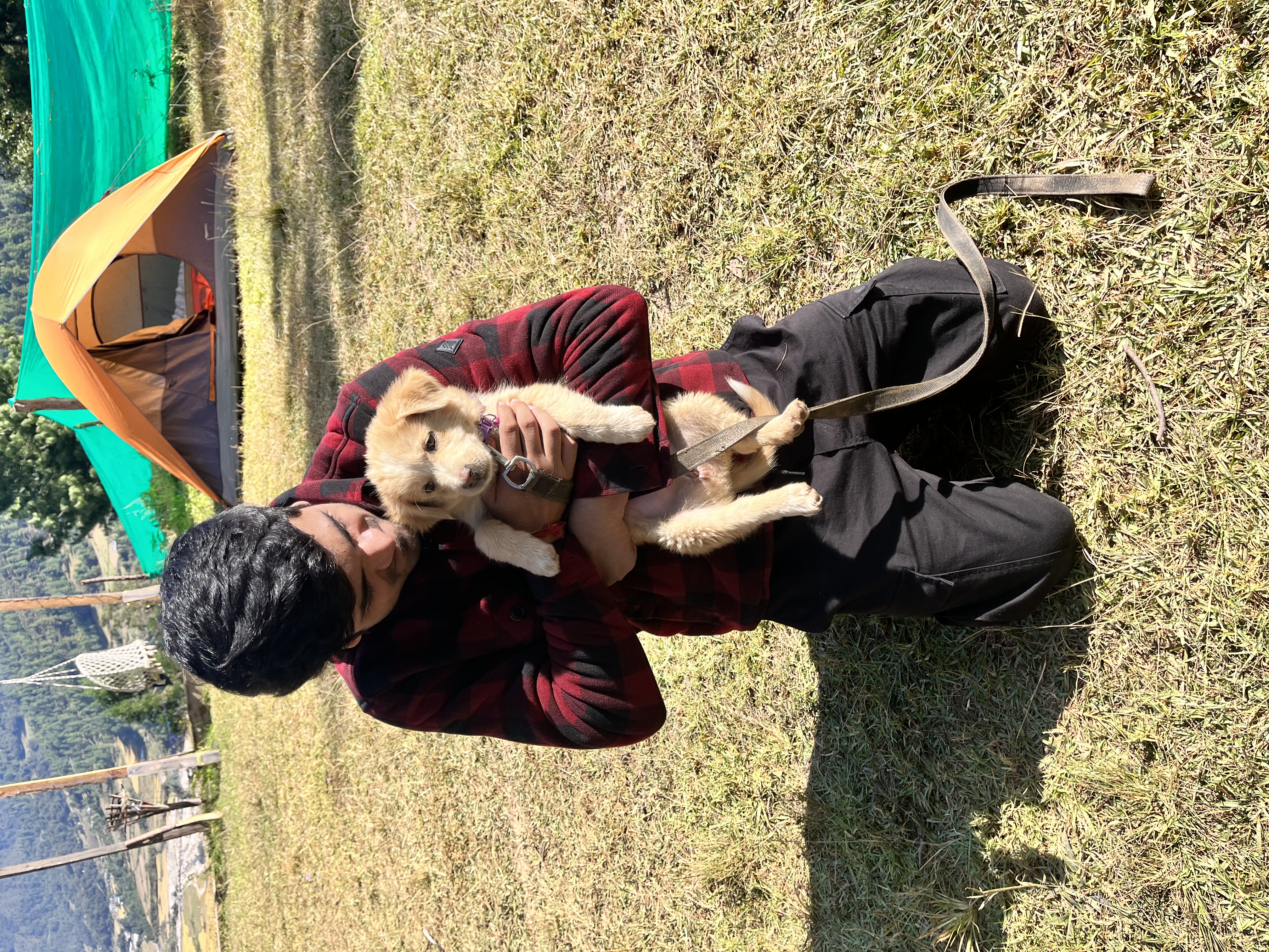 image-6