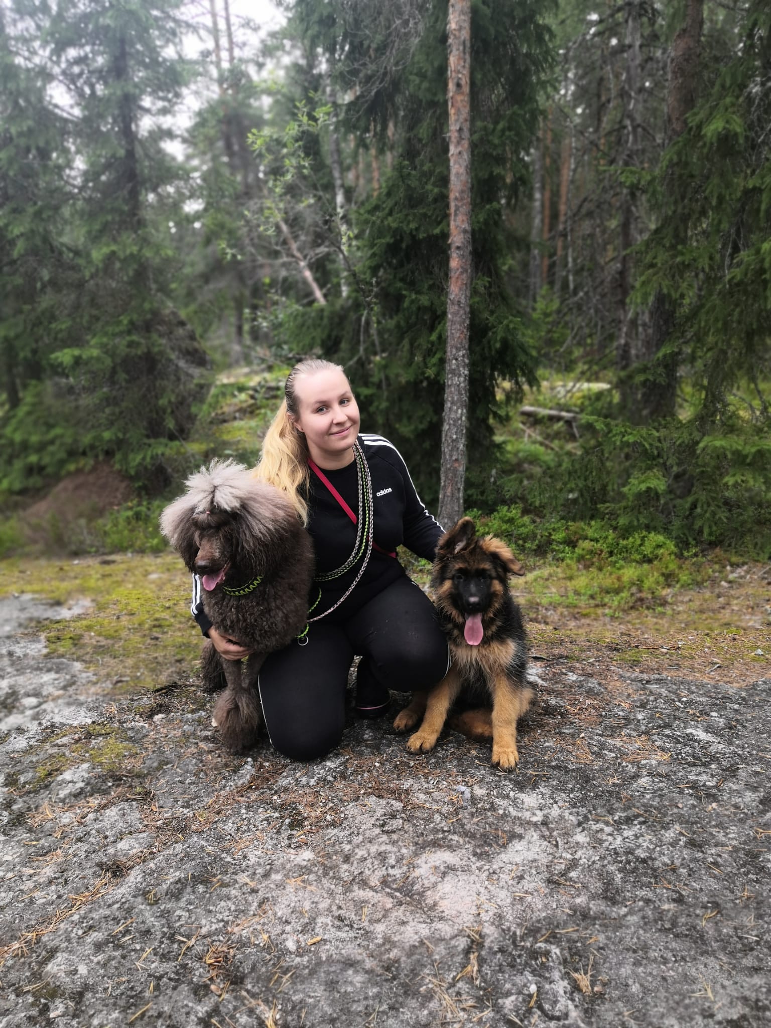 image-8