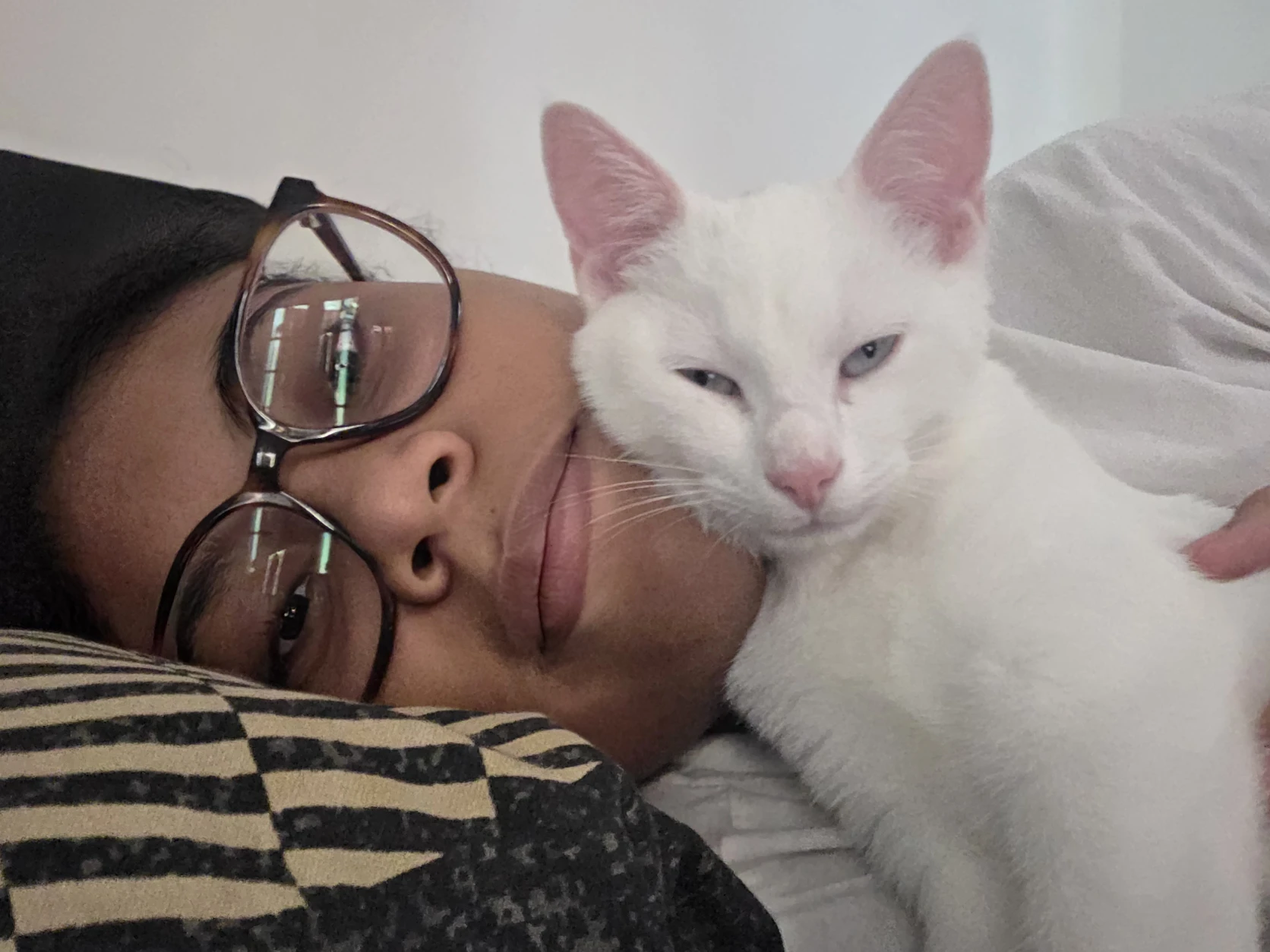 image-2
