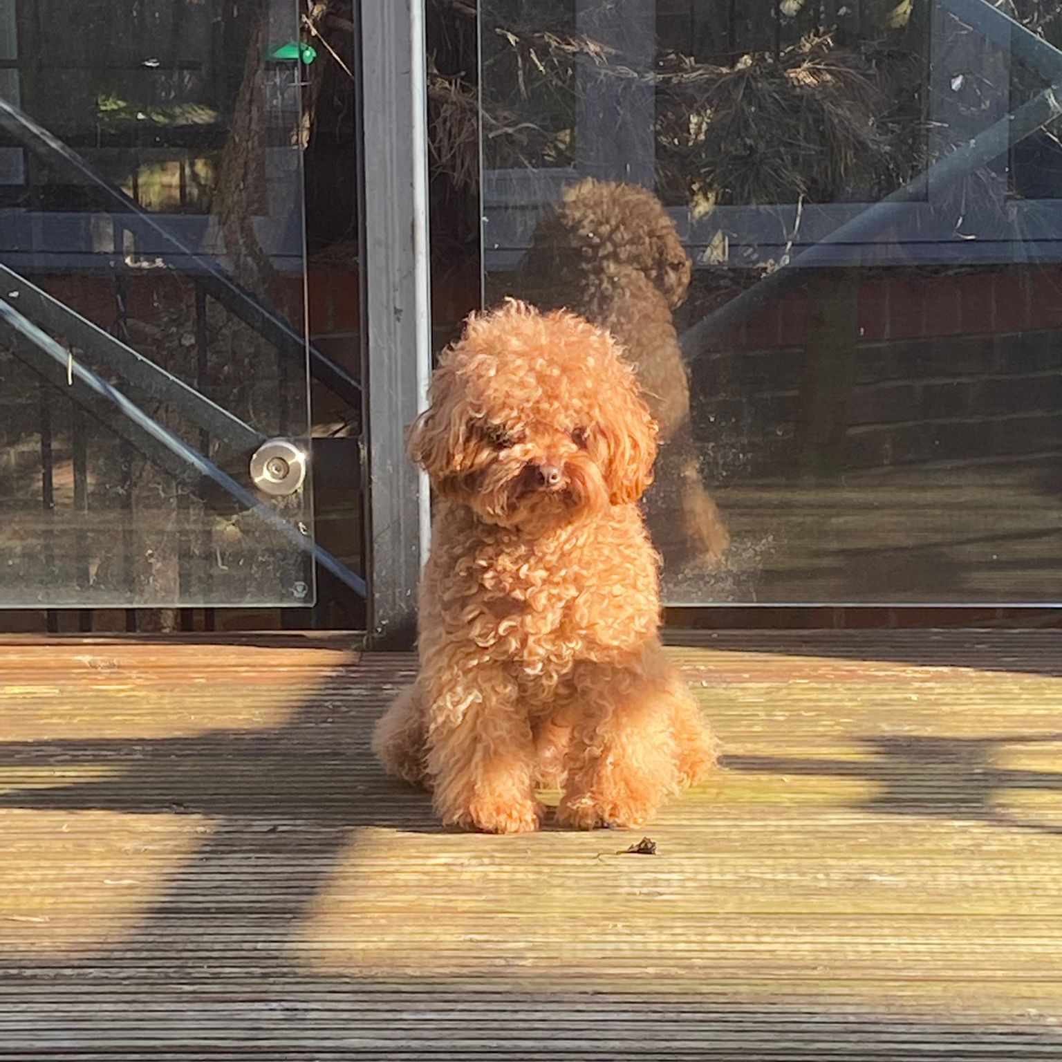 Sun sun