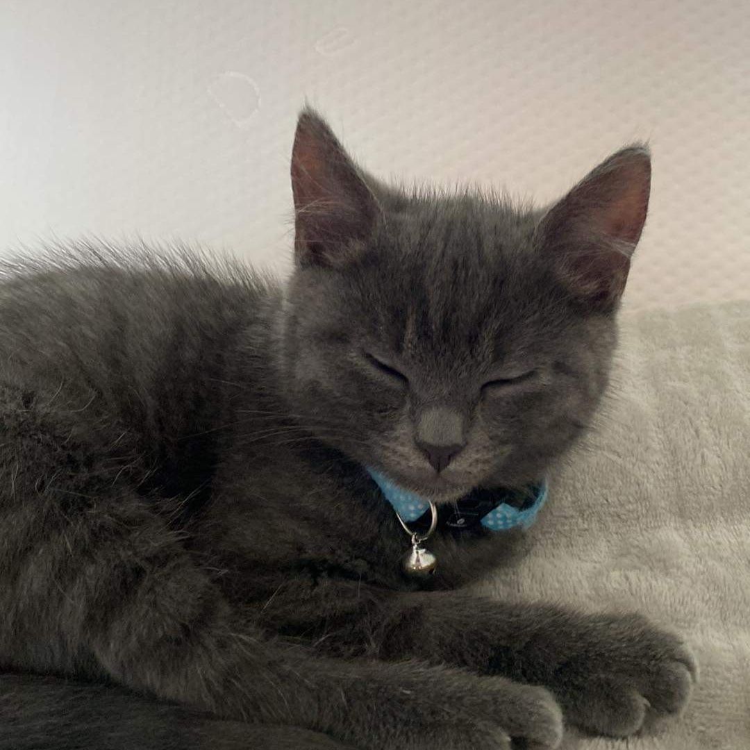 Minnie