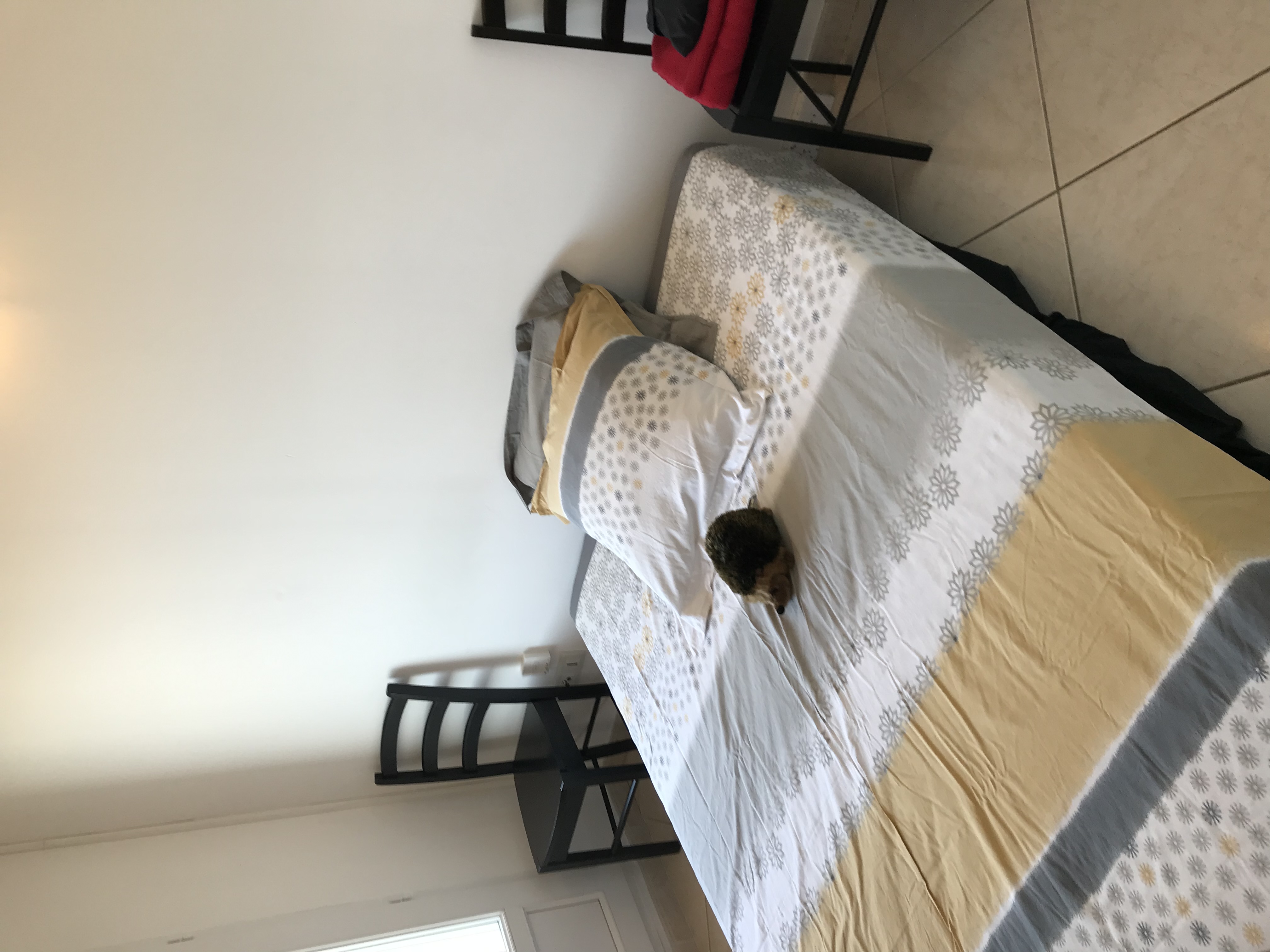 image-19