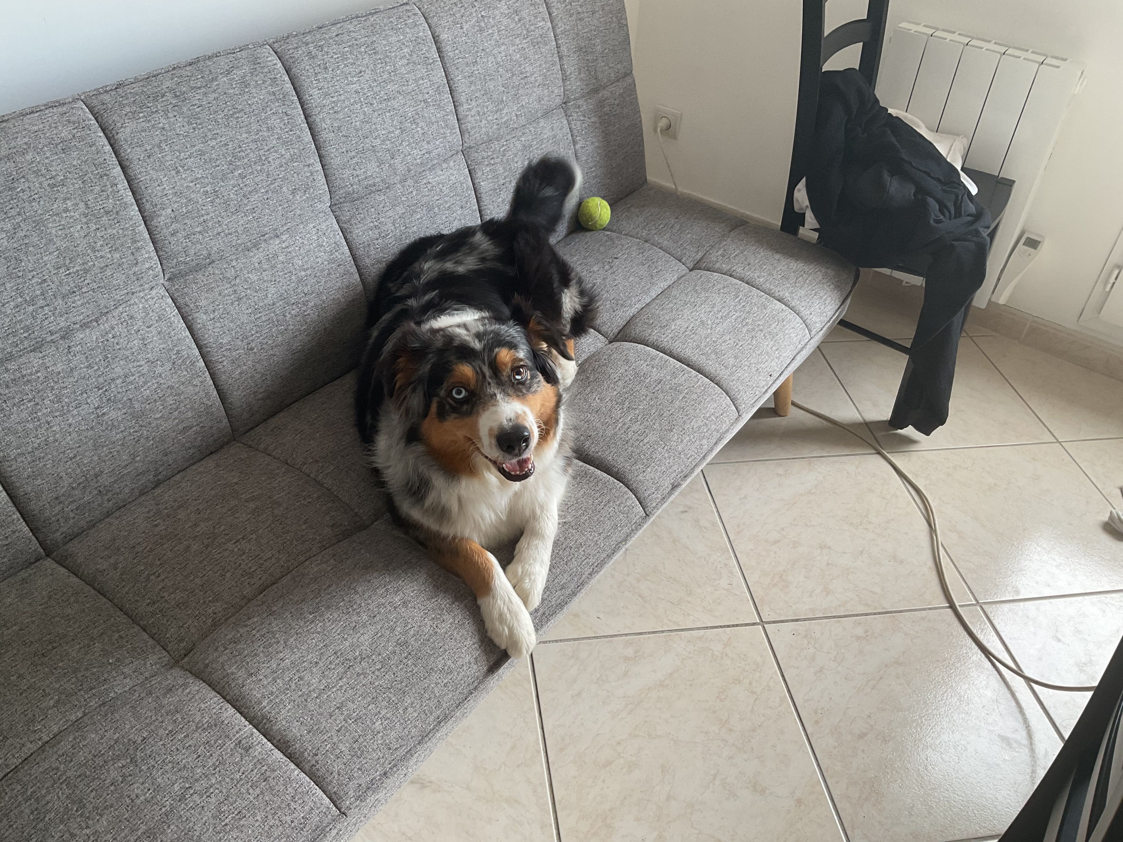 image-5