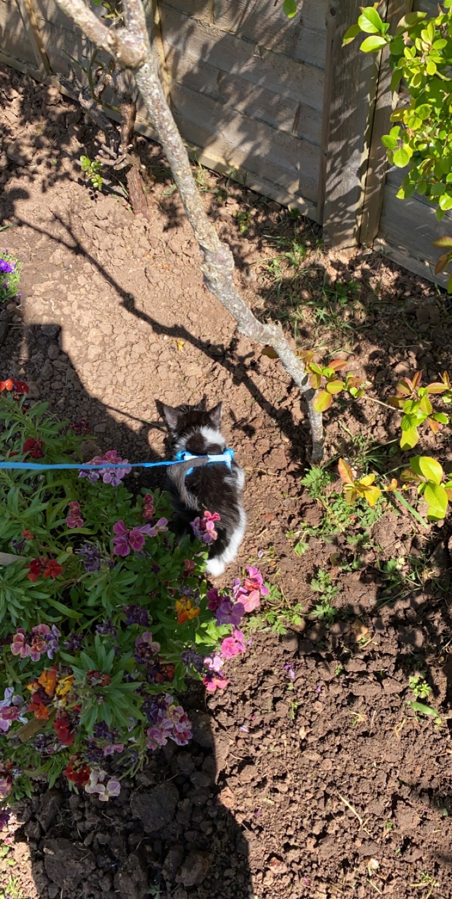 image-12