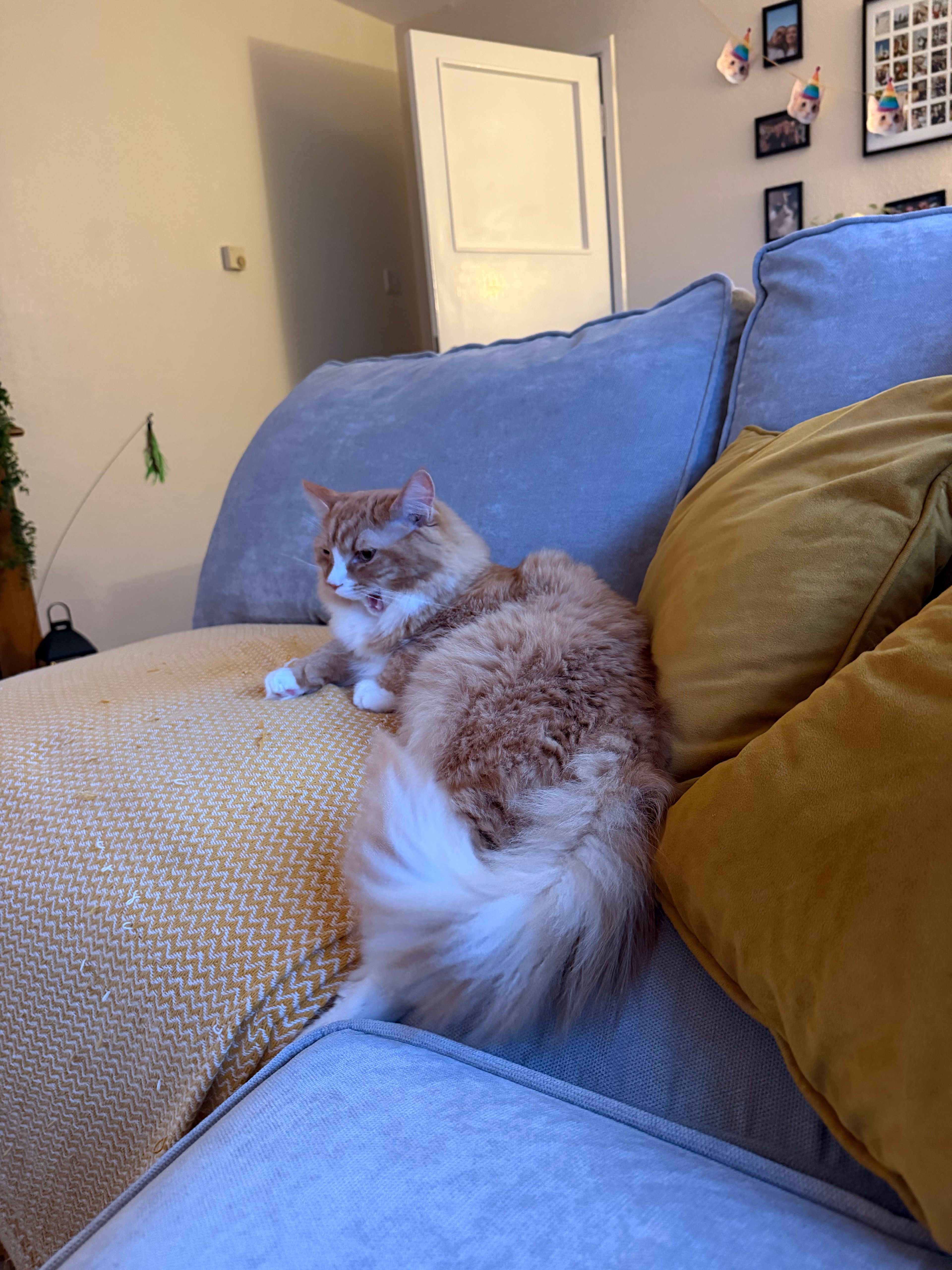image-18