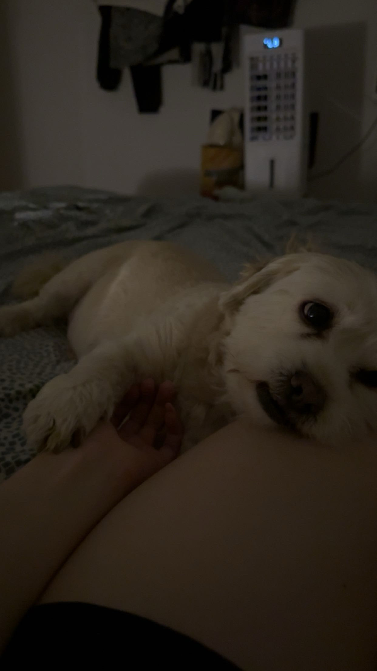 image-5