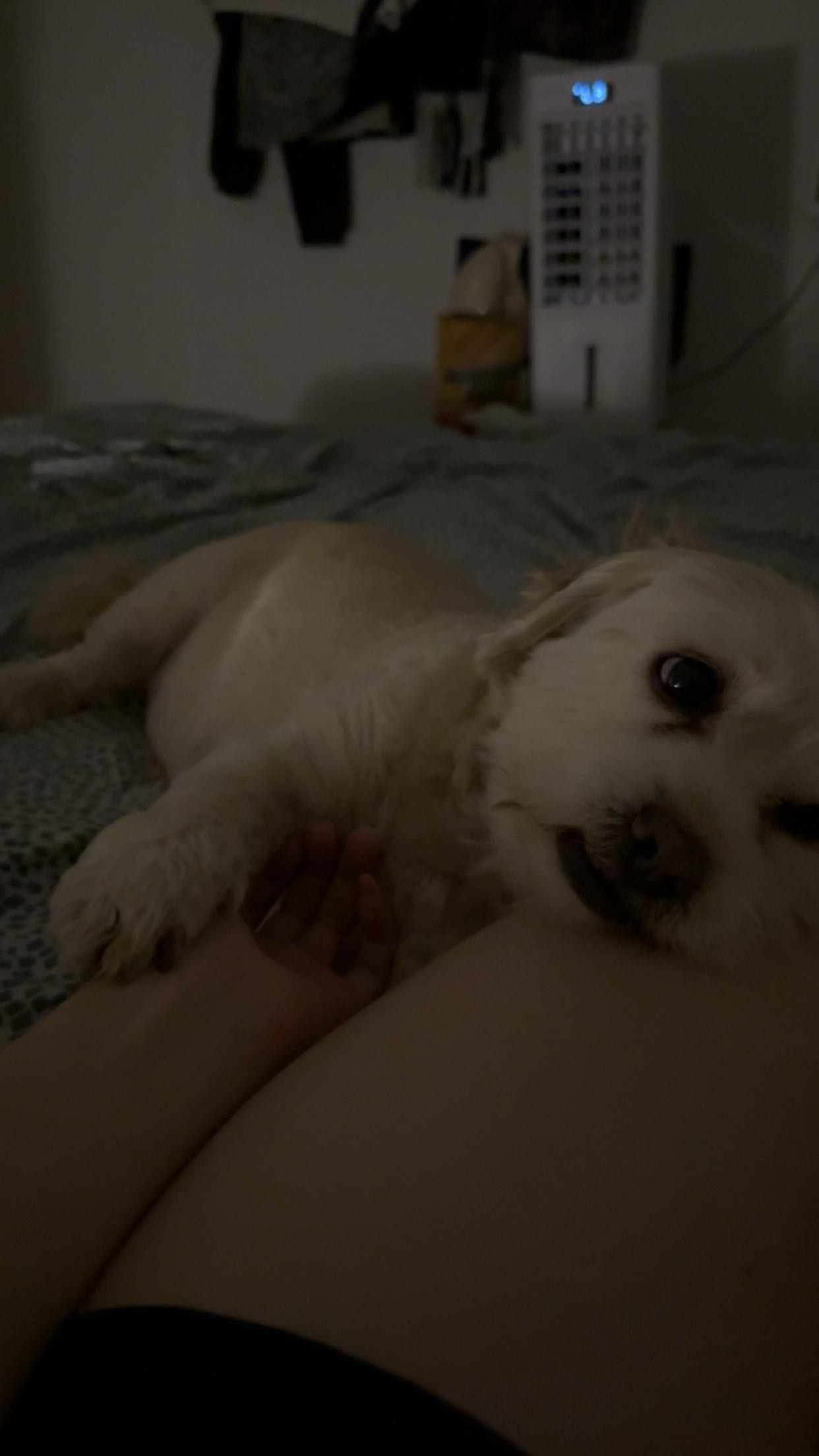image-5