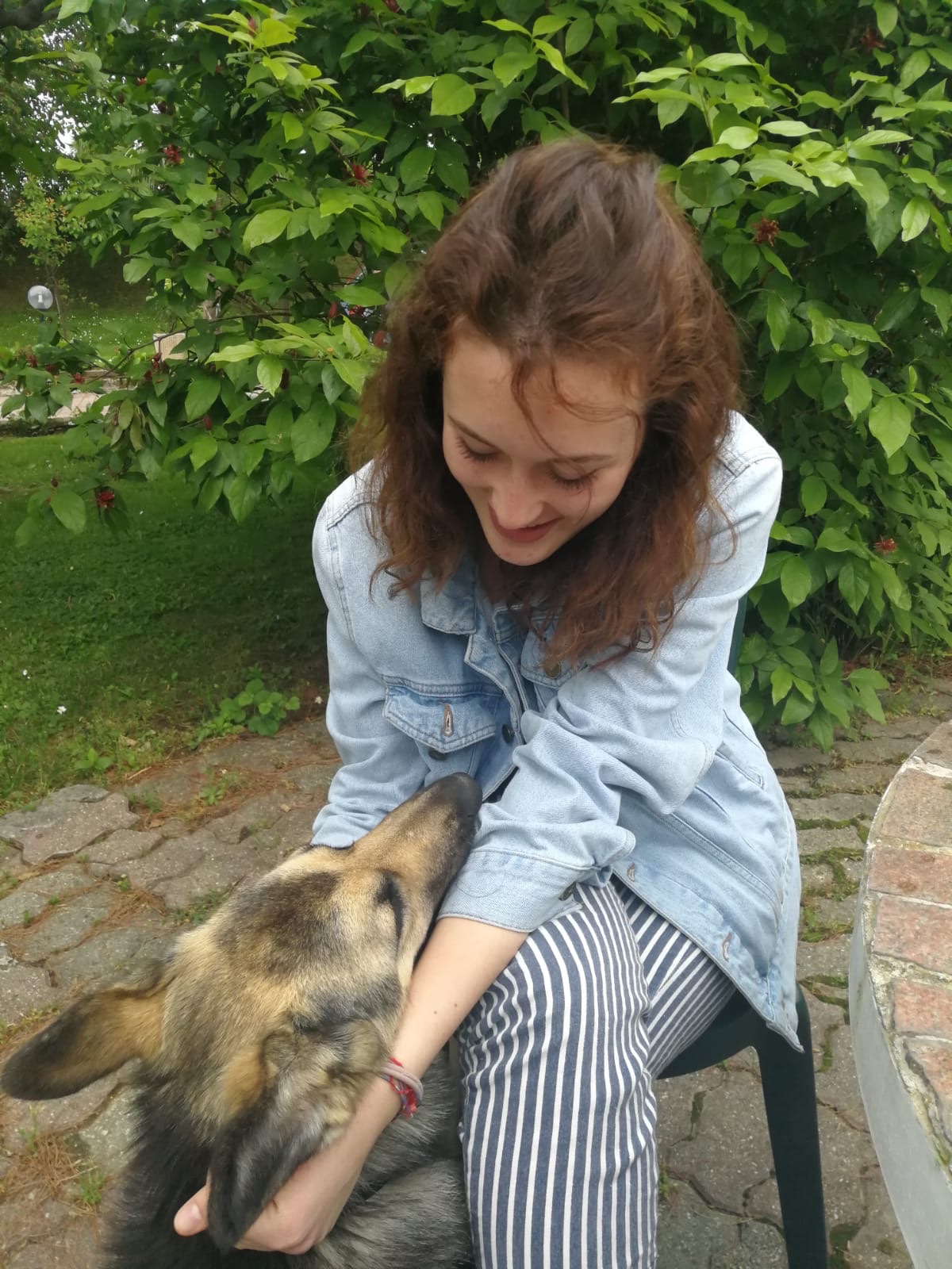 image-8