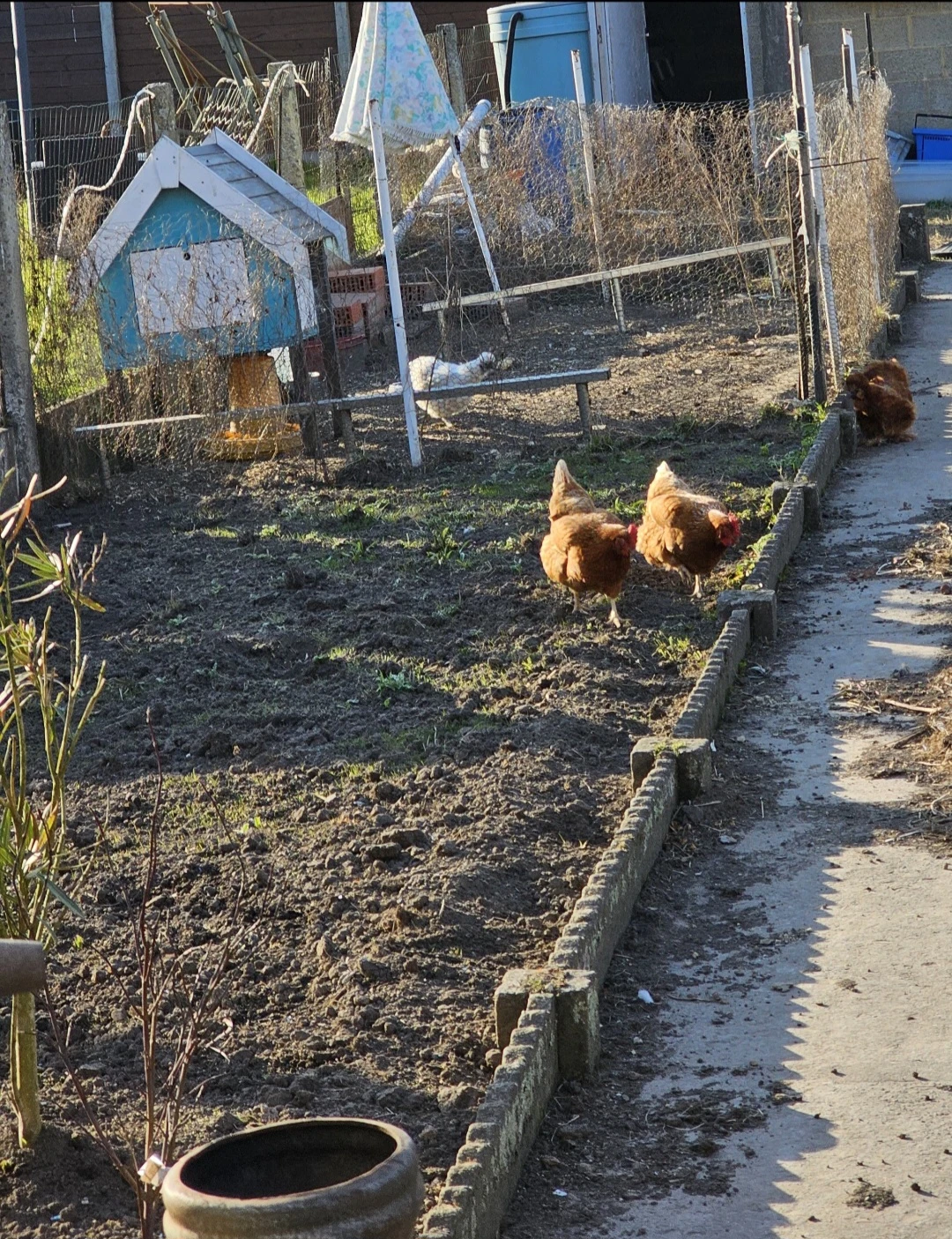 image-7