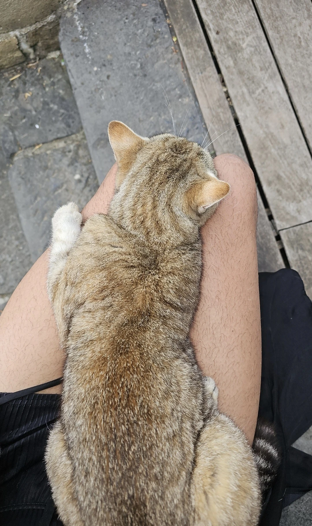 image-8