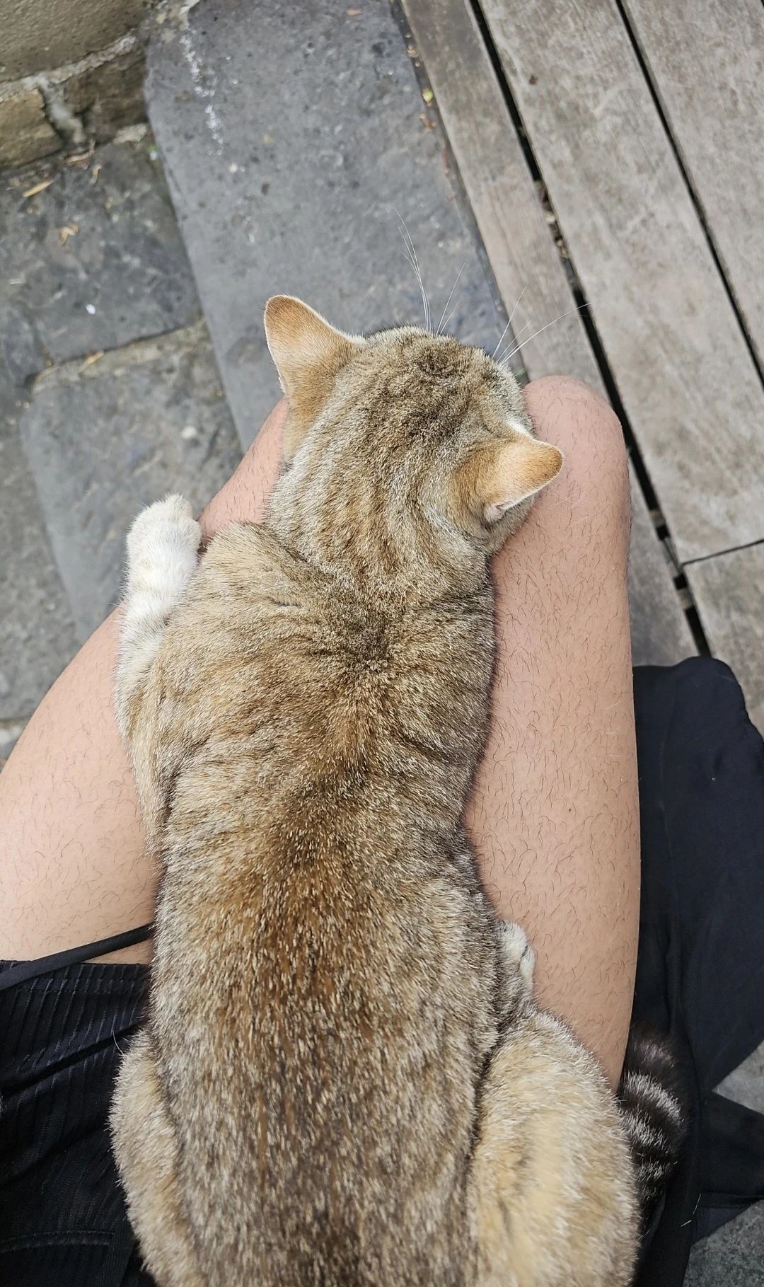 image-8