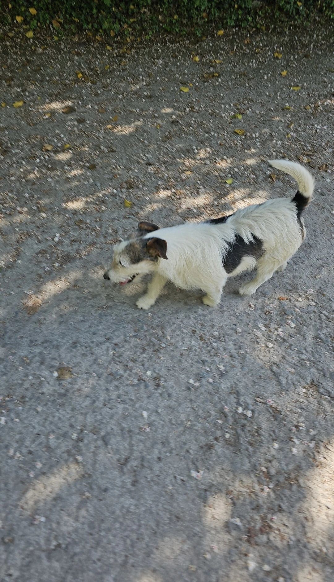 image-10