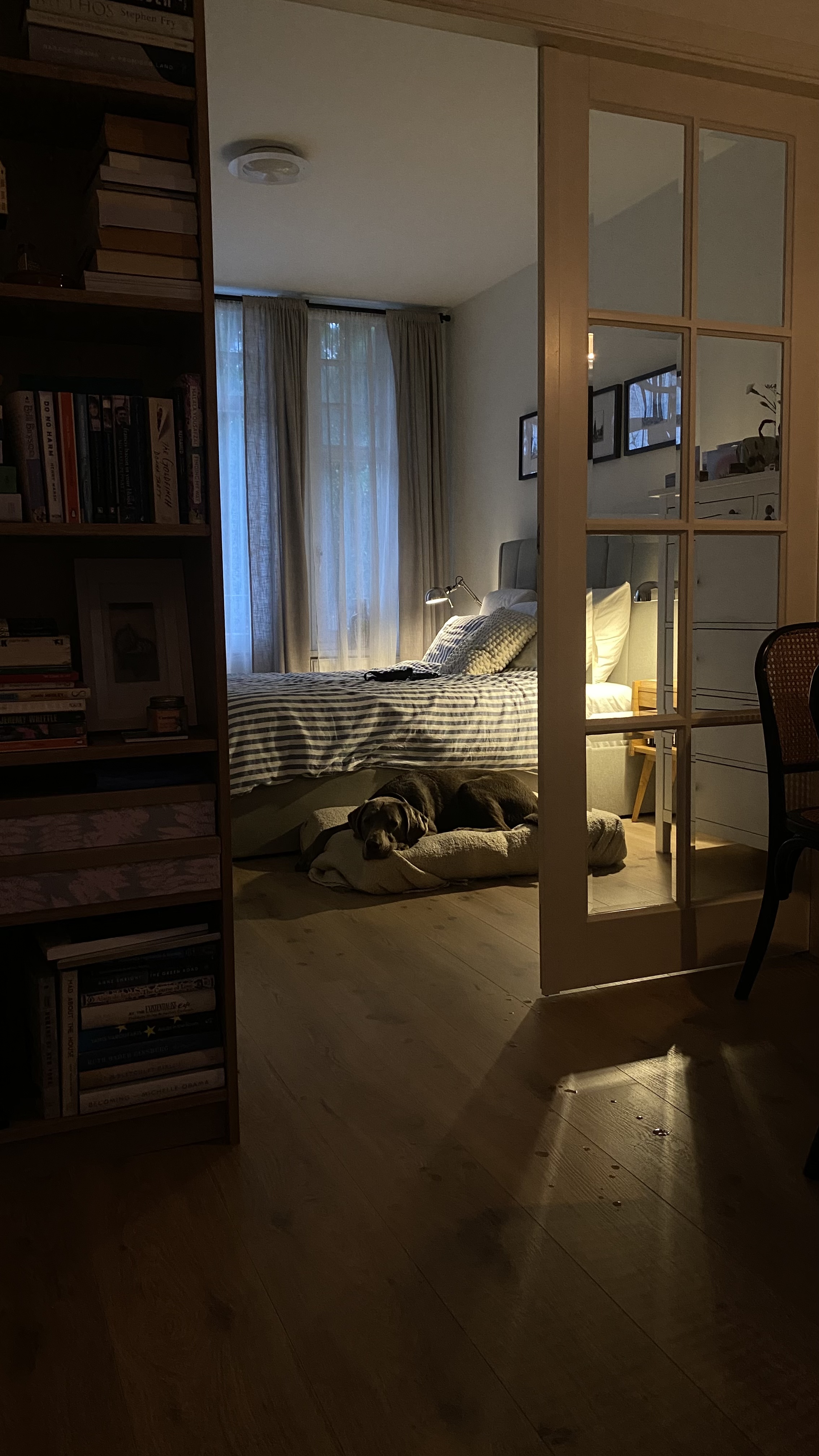 image-5