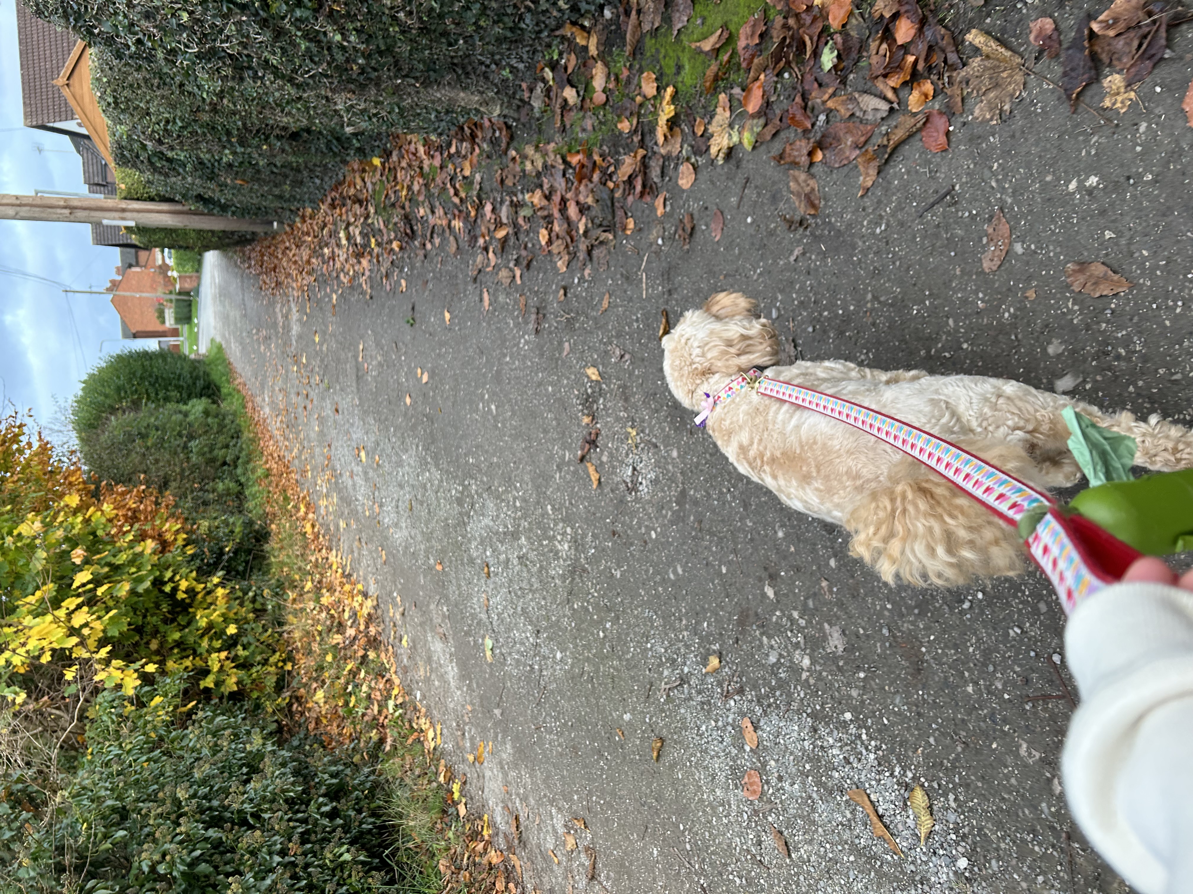 image-6