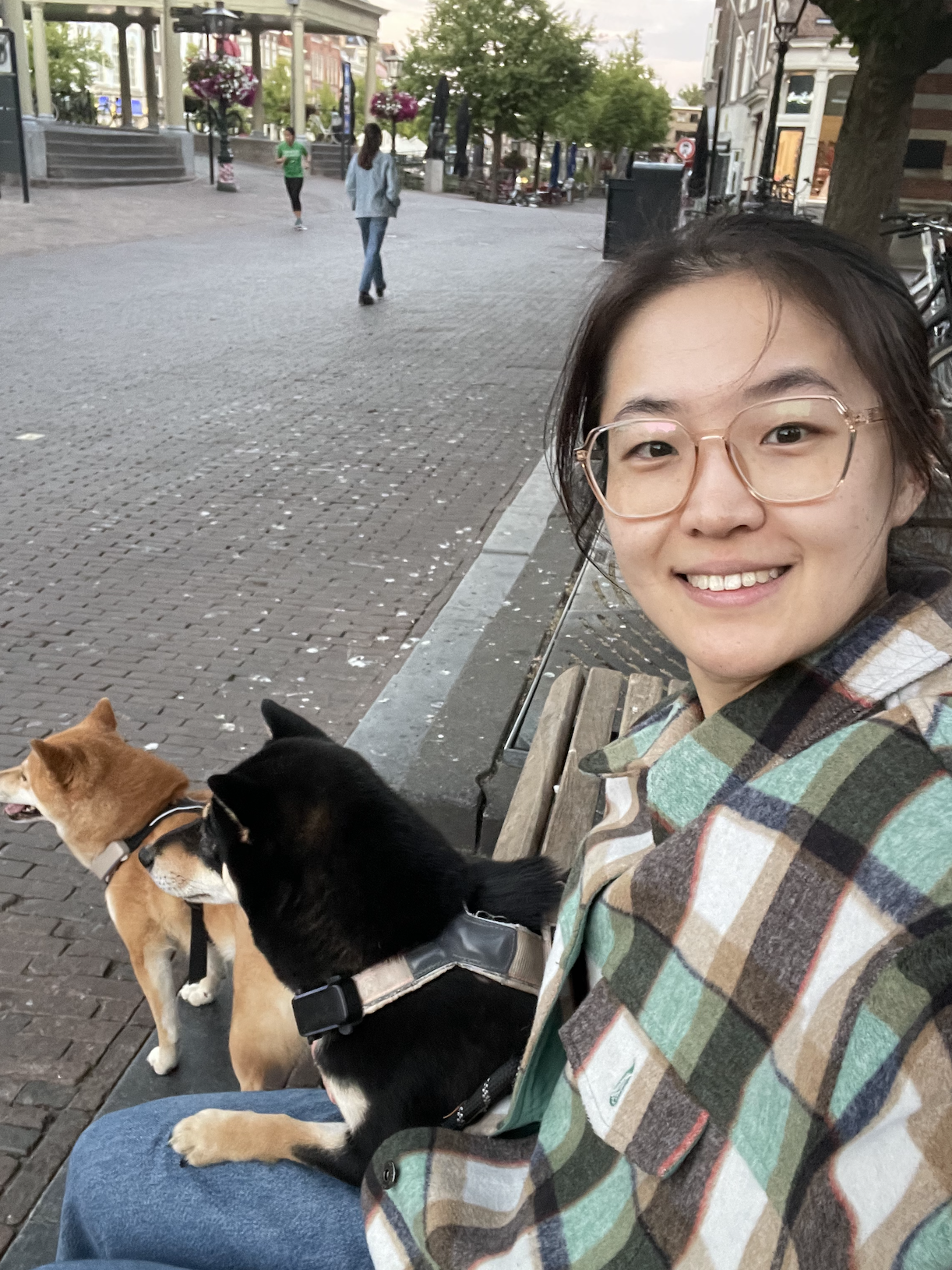 image-17