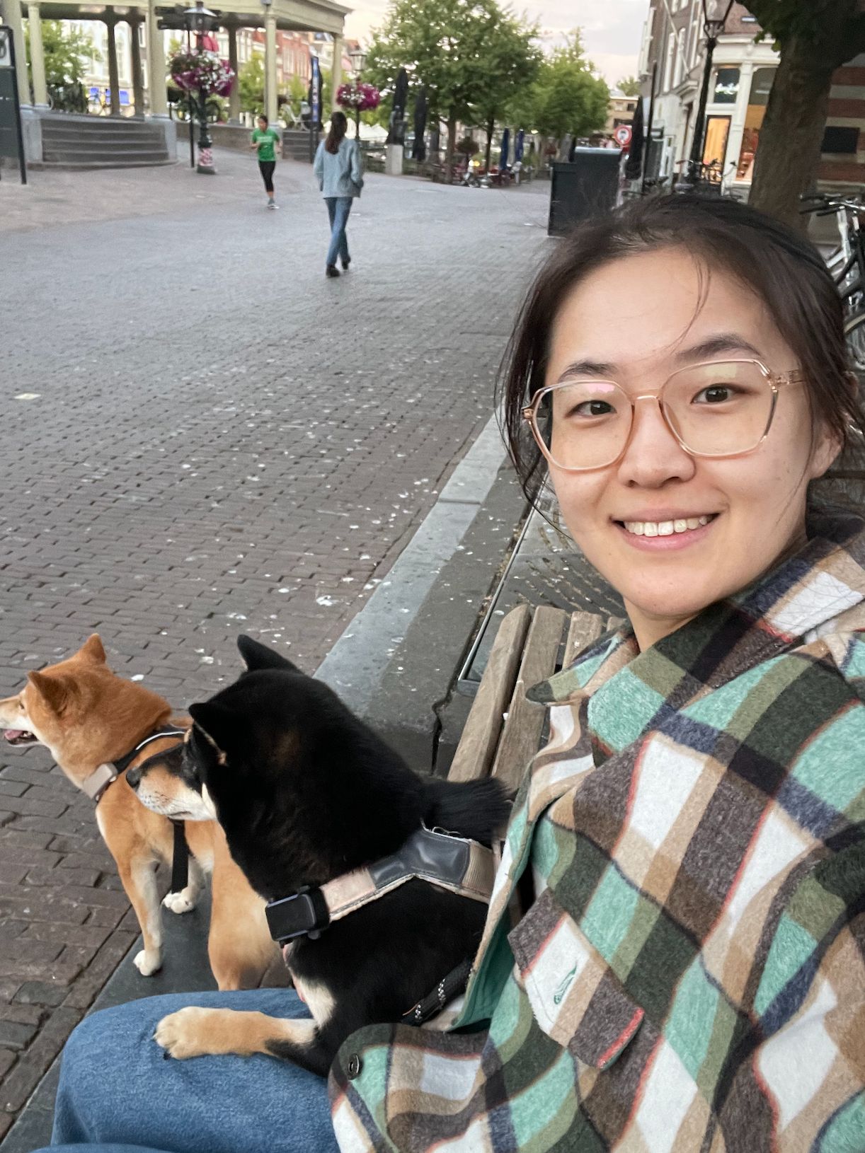 image-17