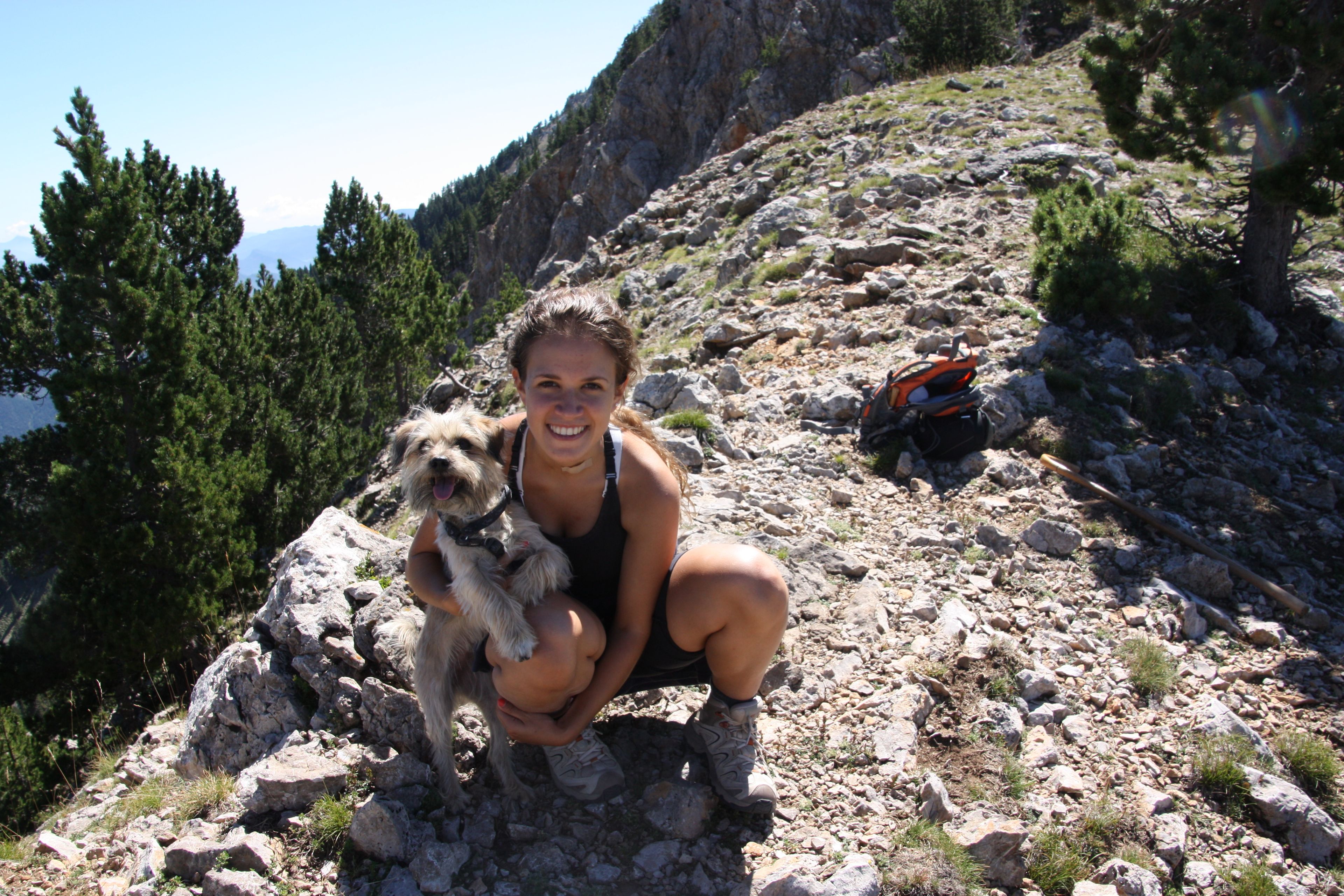 image-7