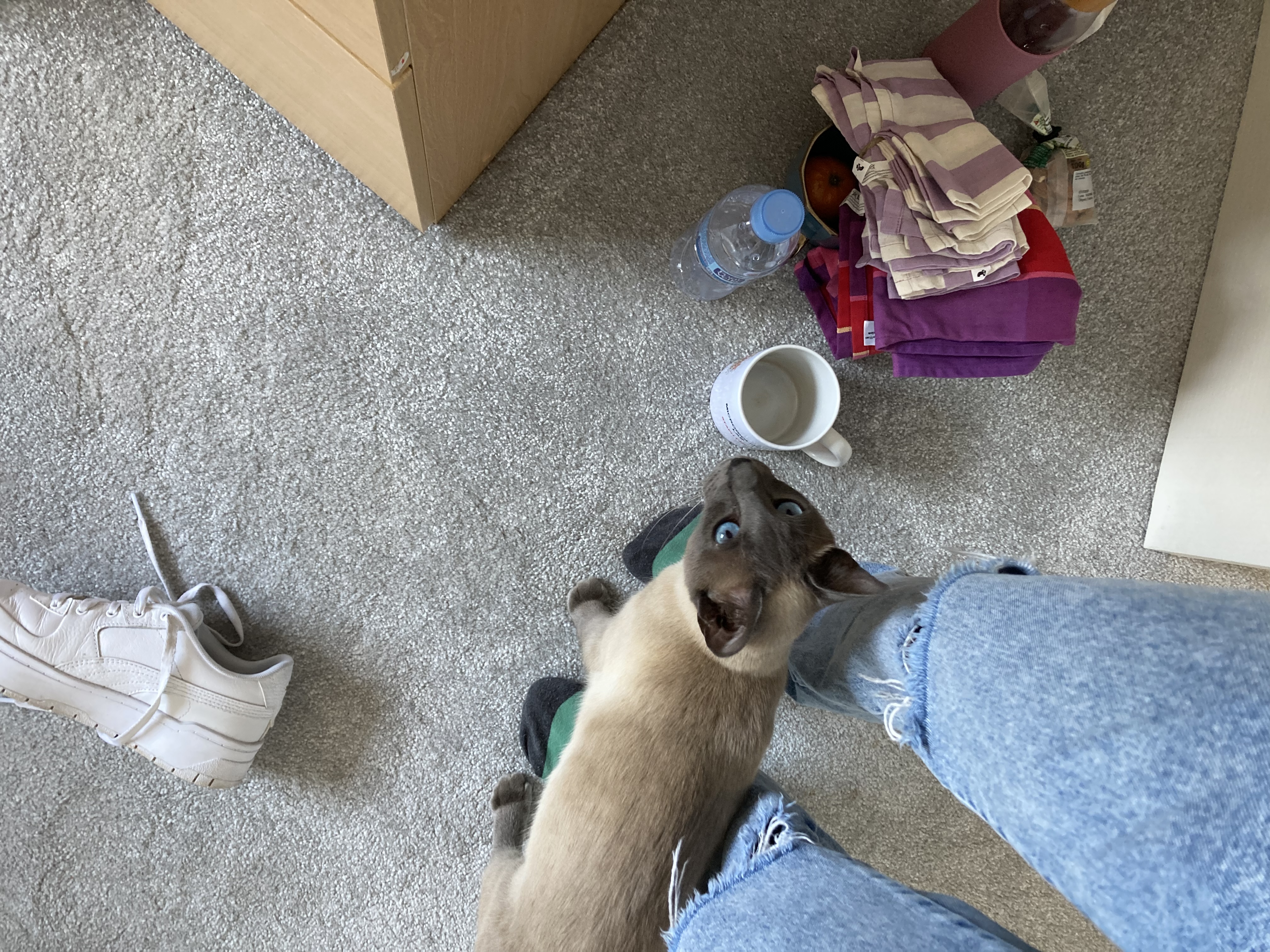 image-6