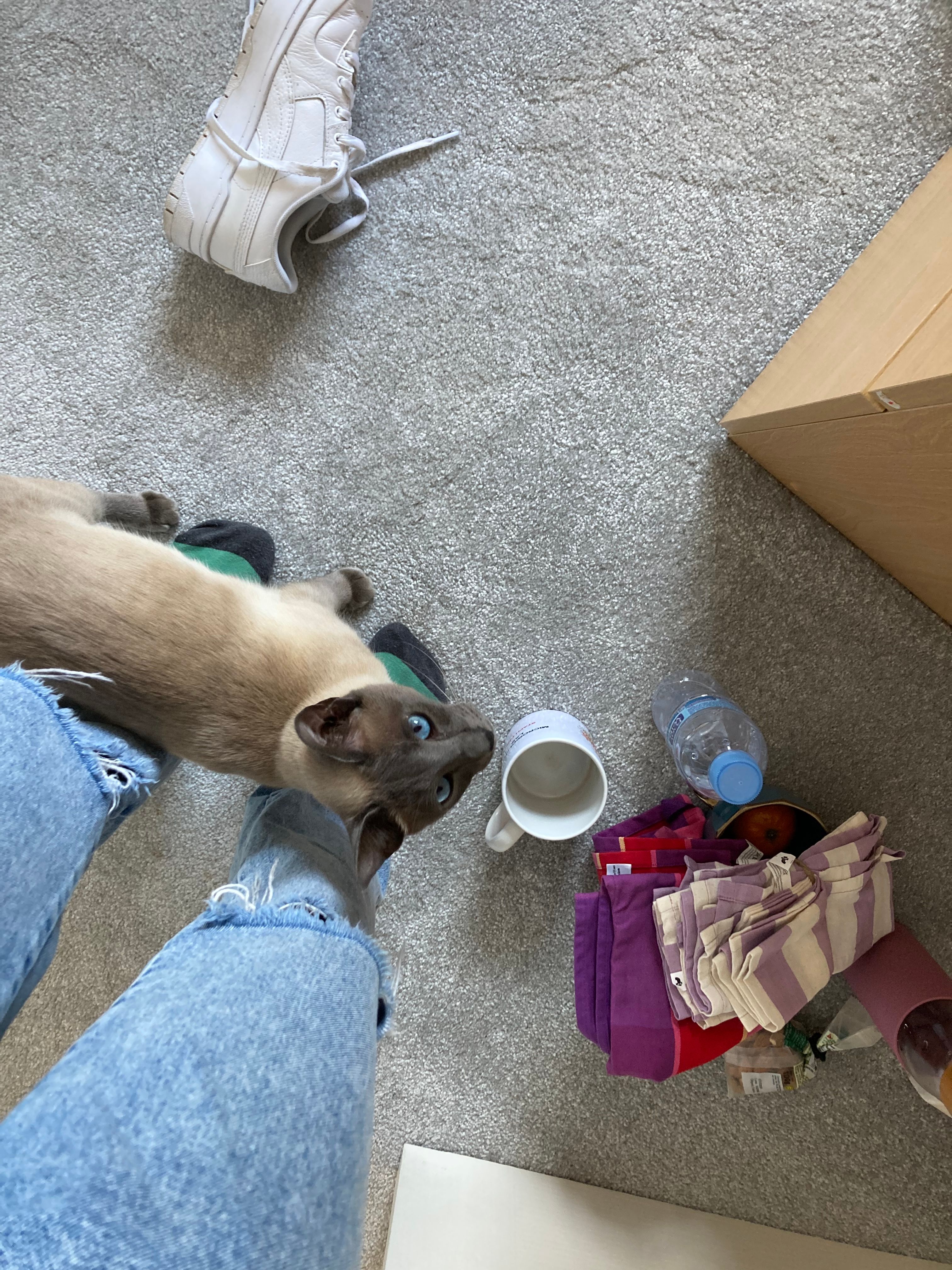 image-6