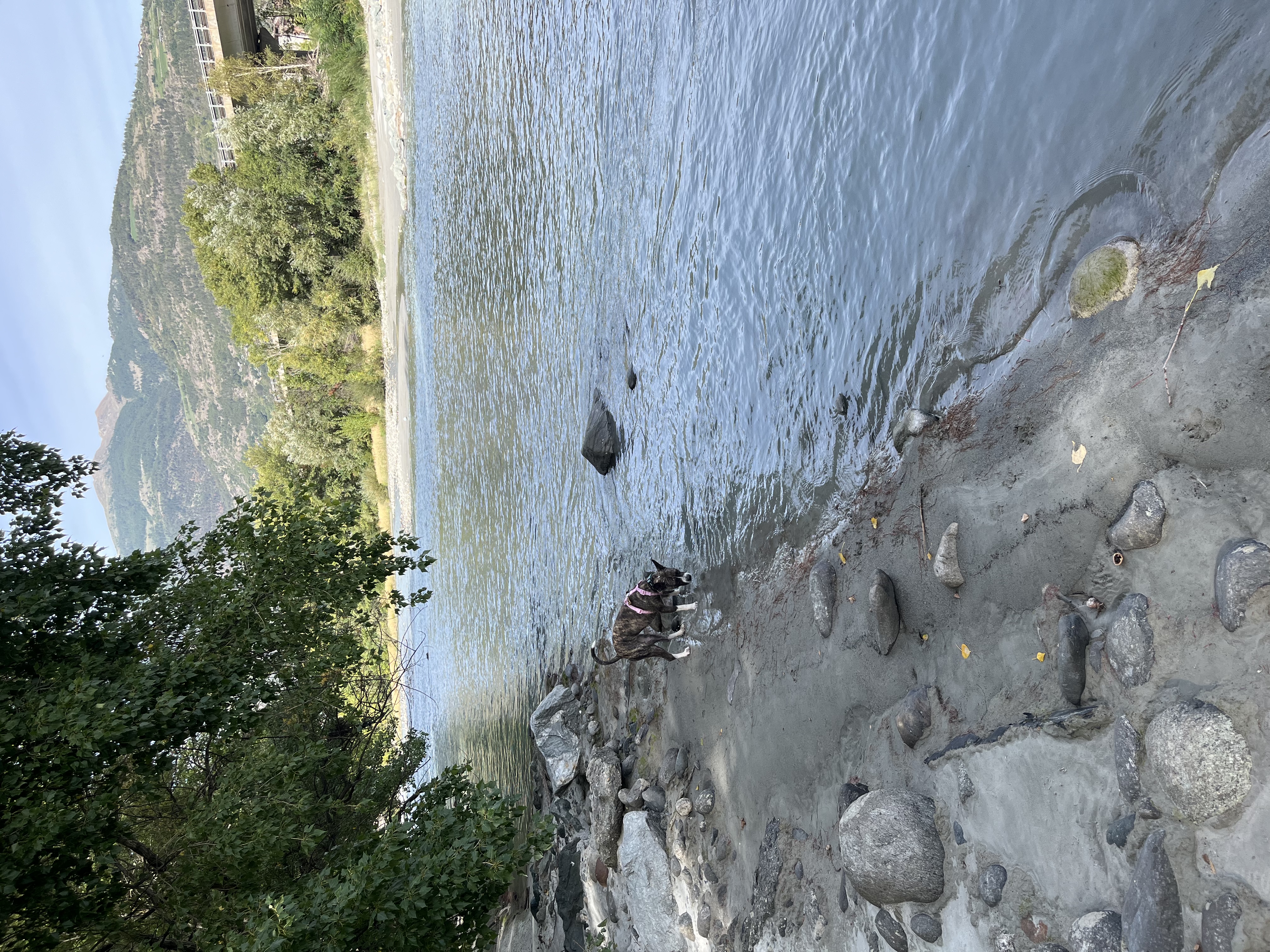 image-9