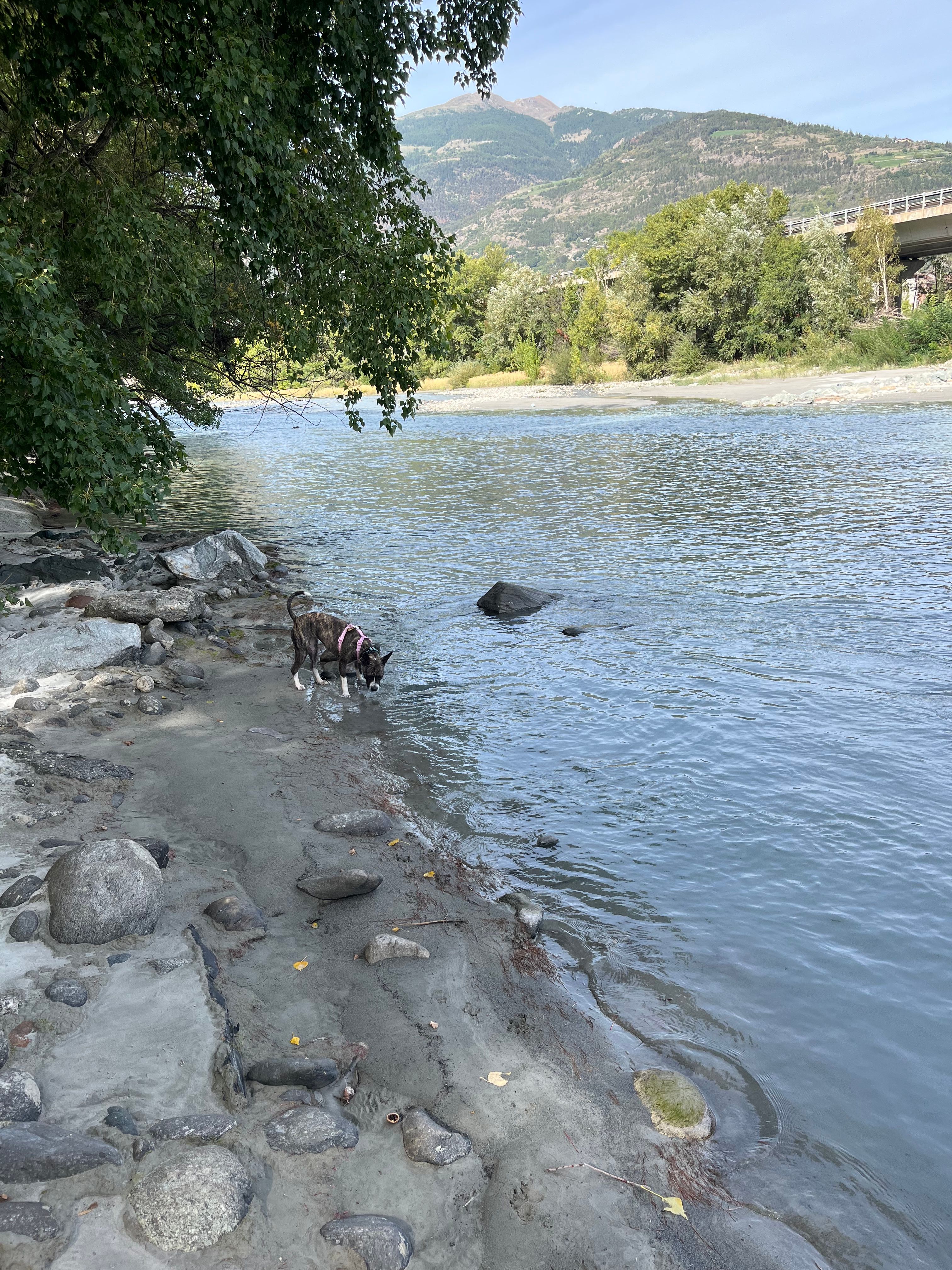 image-9