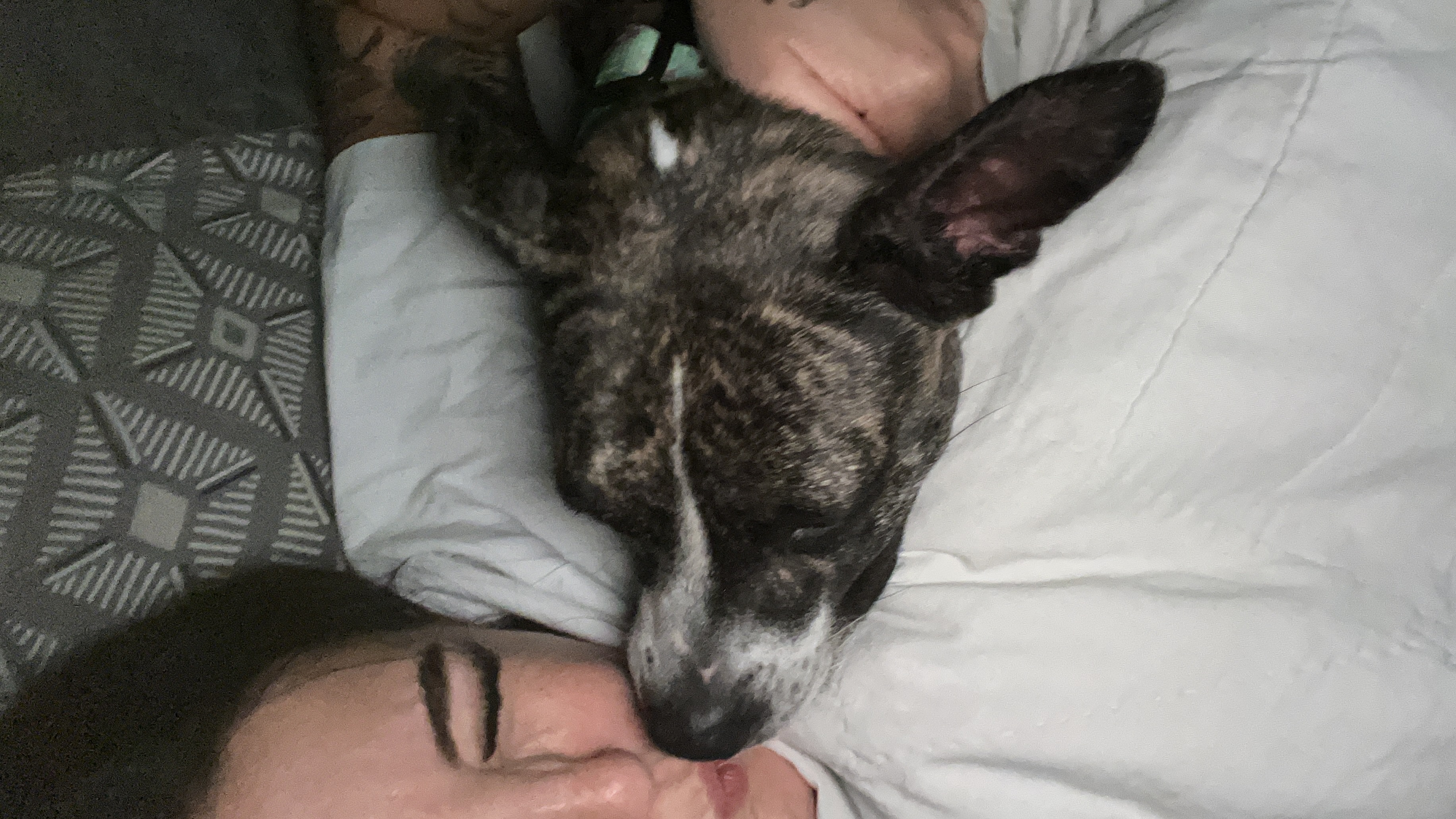 image-11