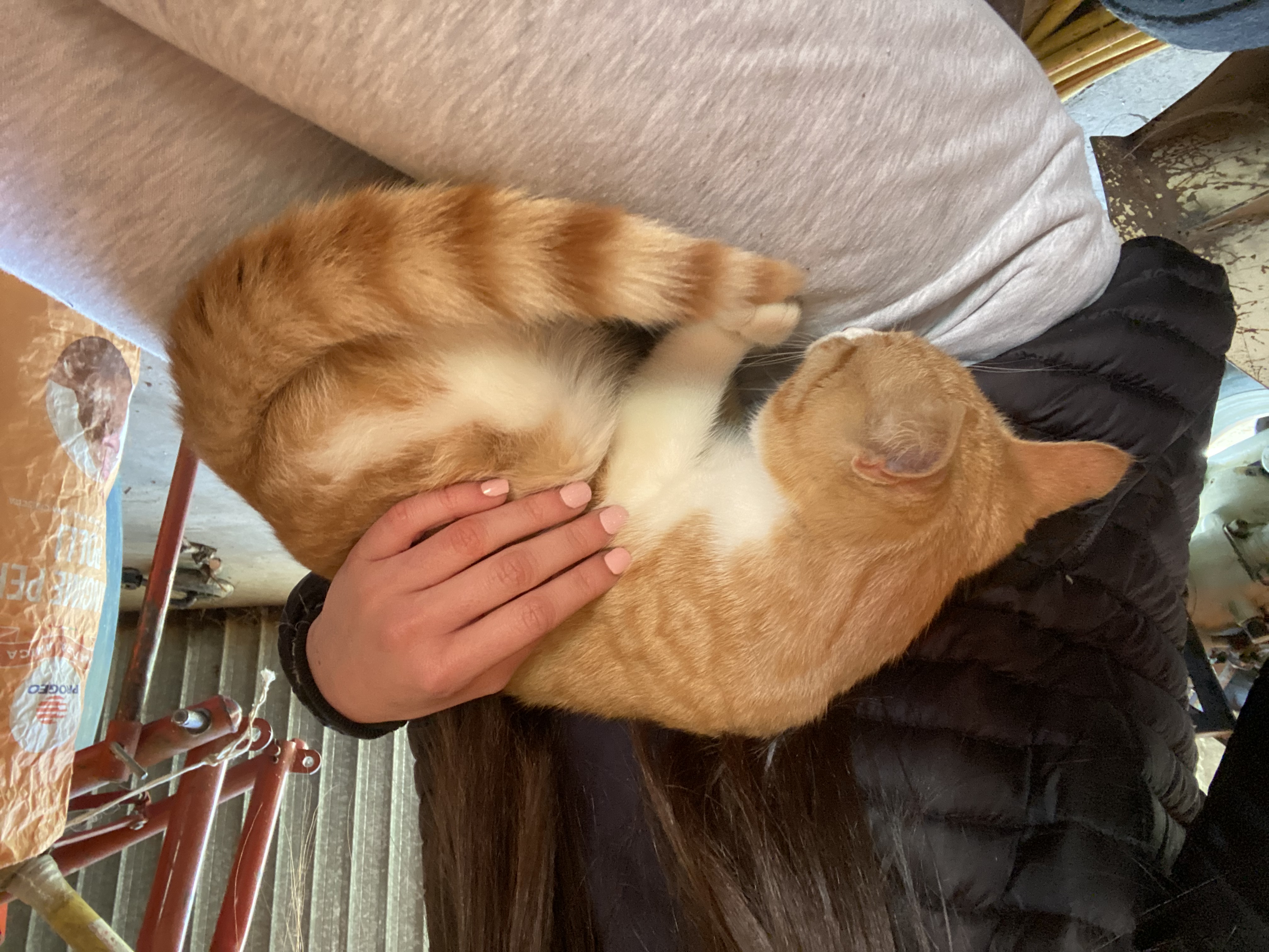 image-7