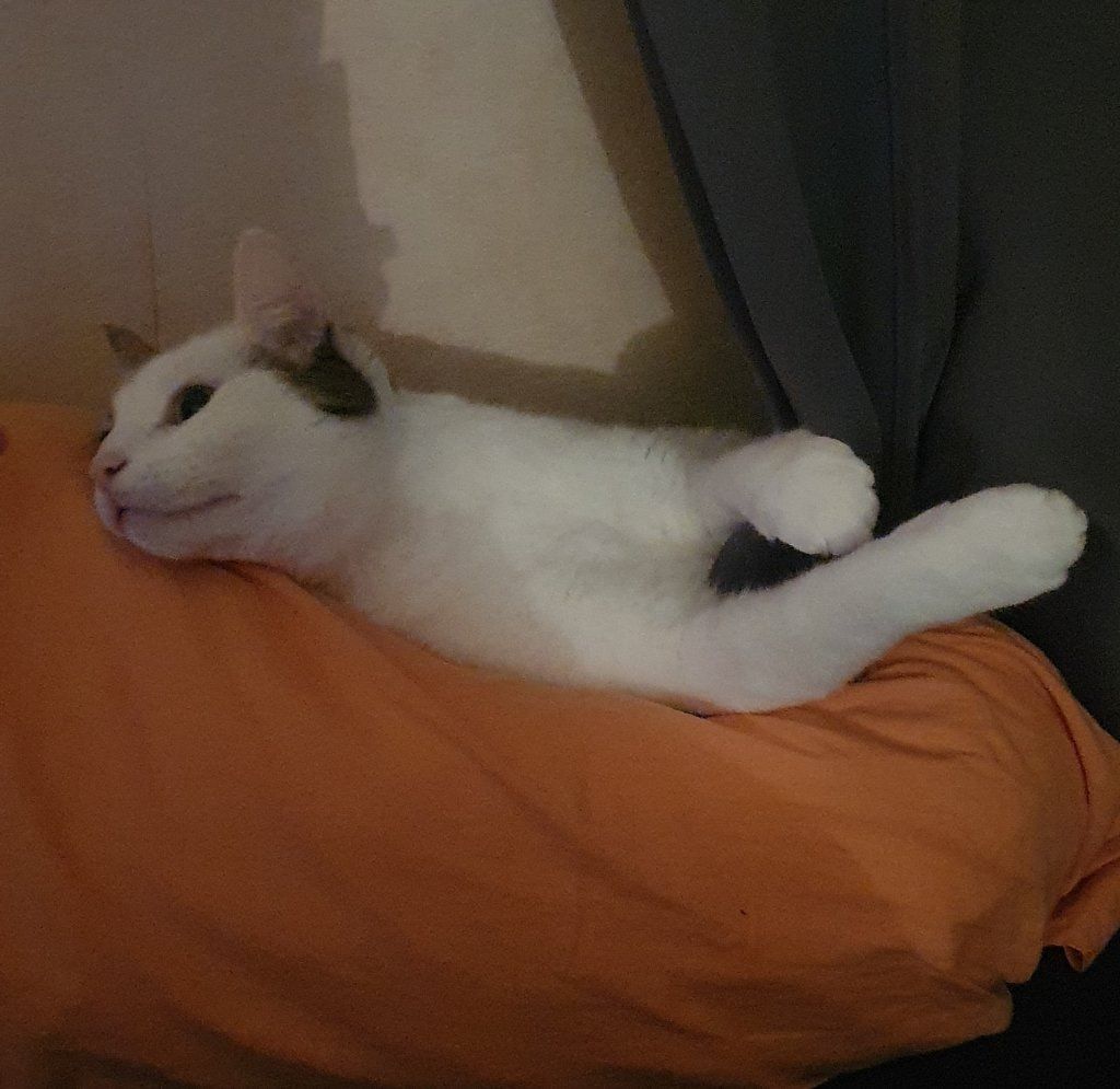 image-6