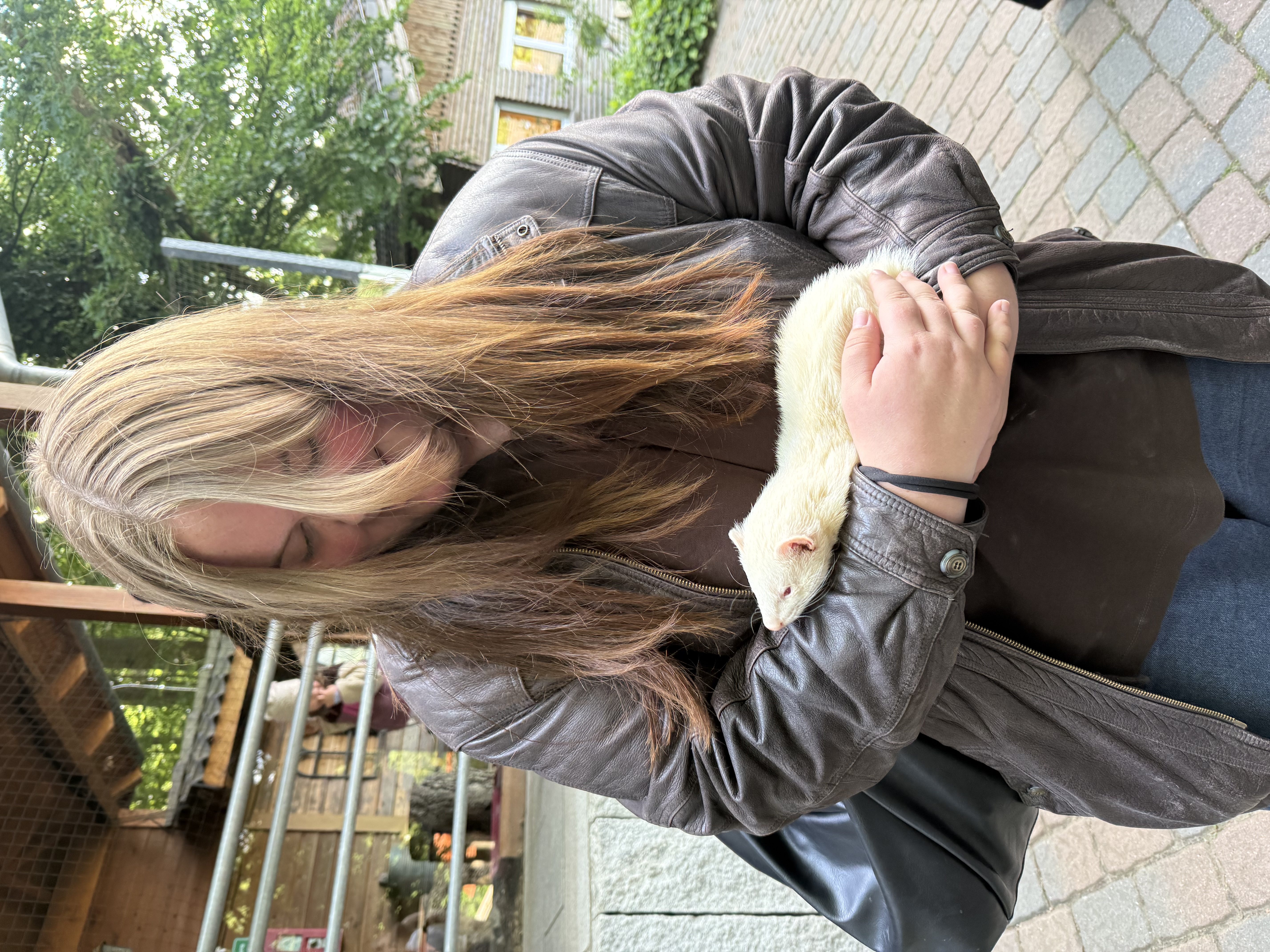 image-8