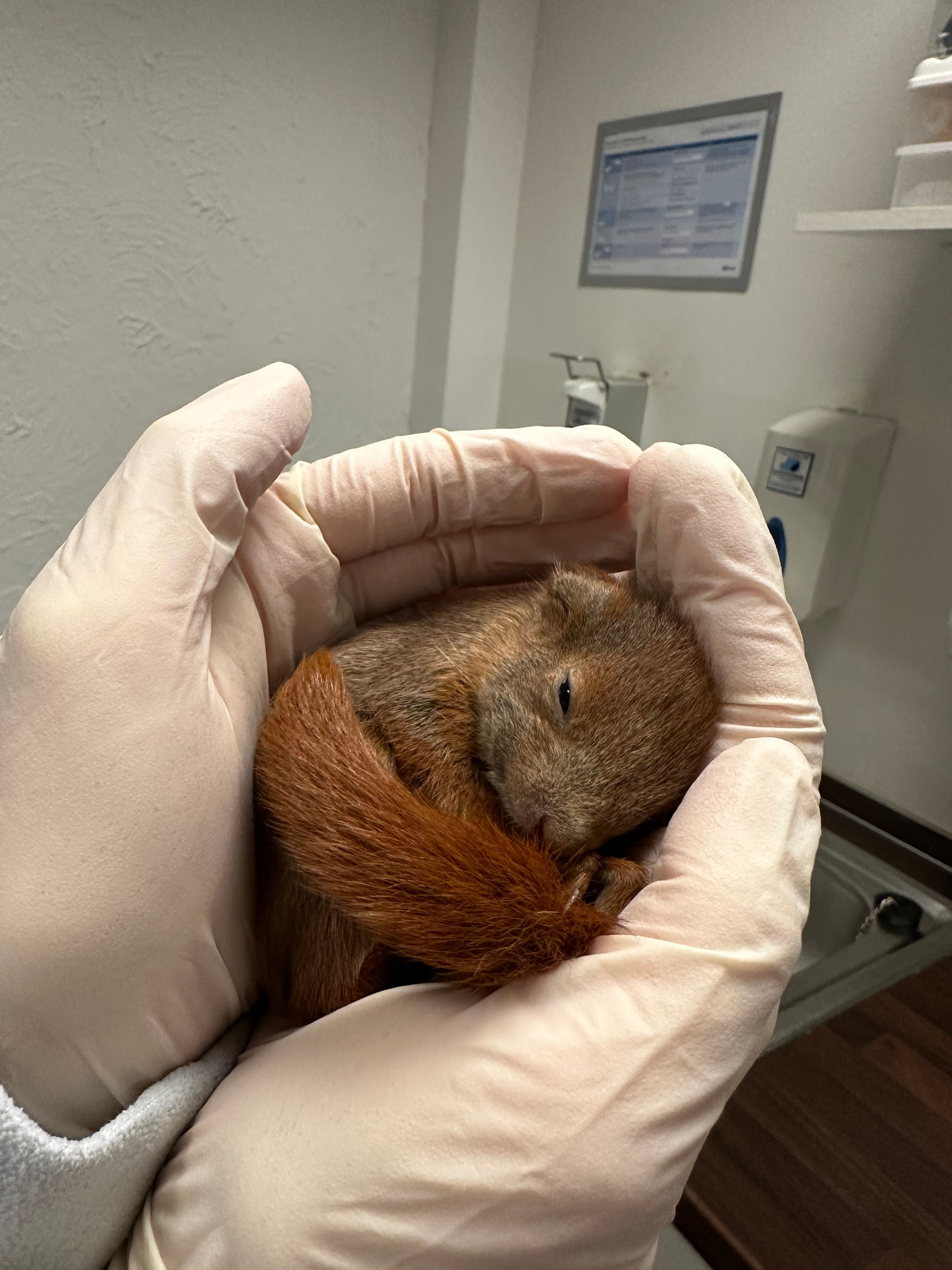 image-6