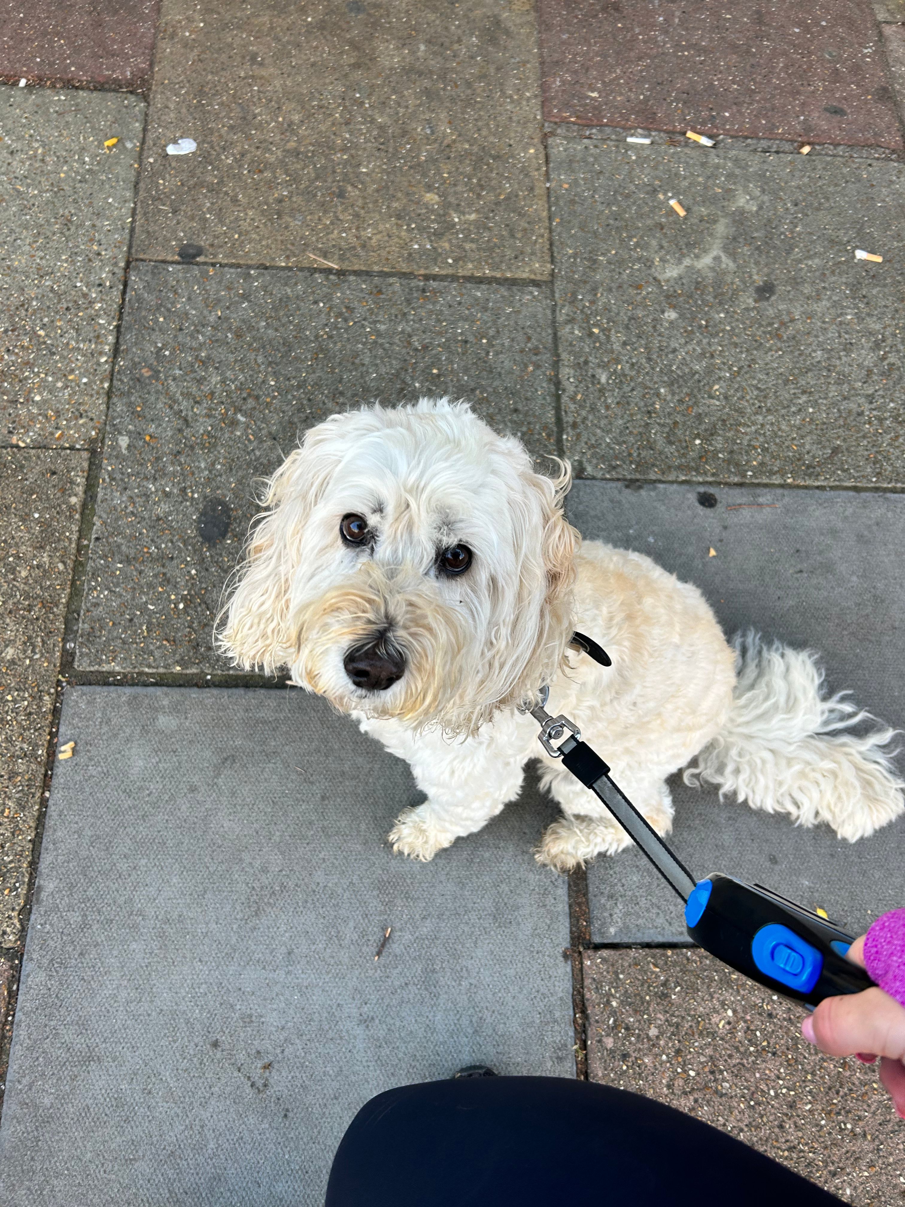 image-6