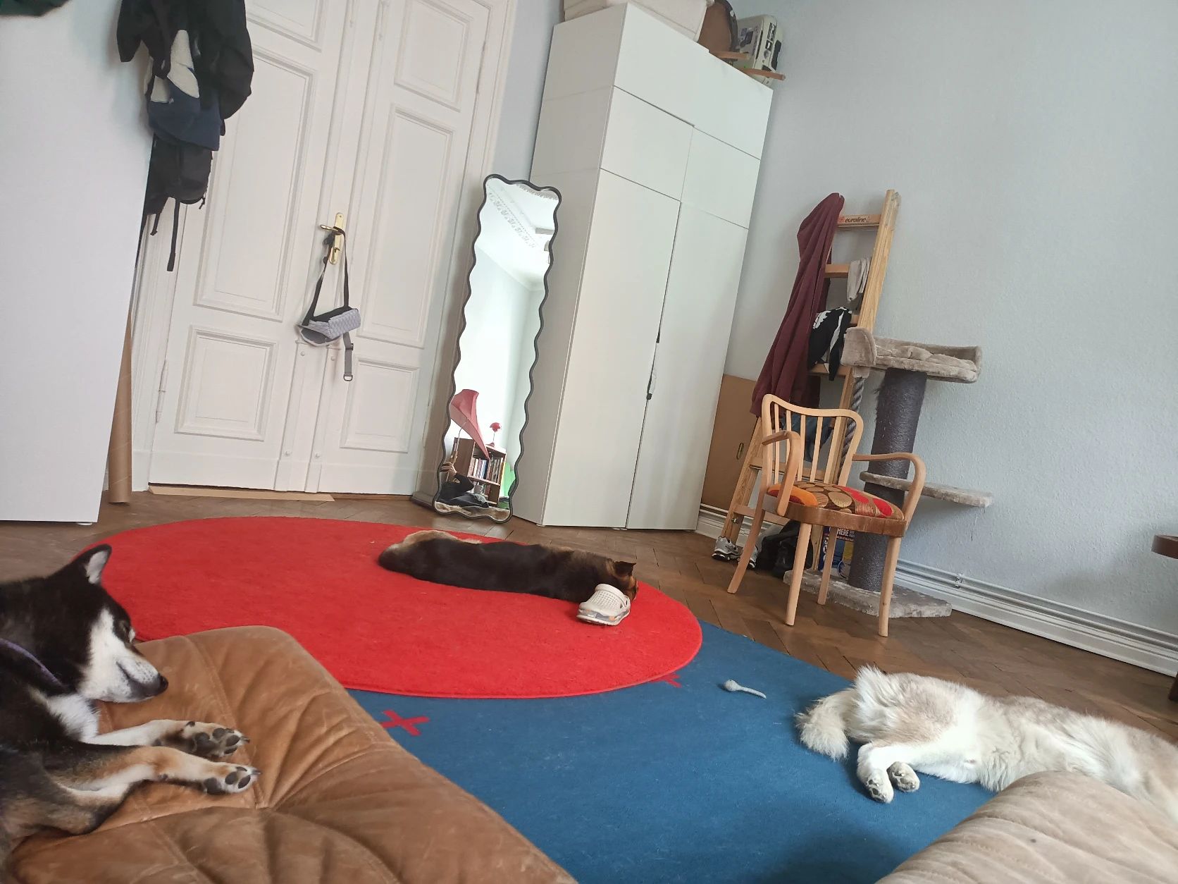 image-5