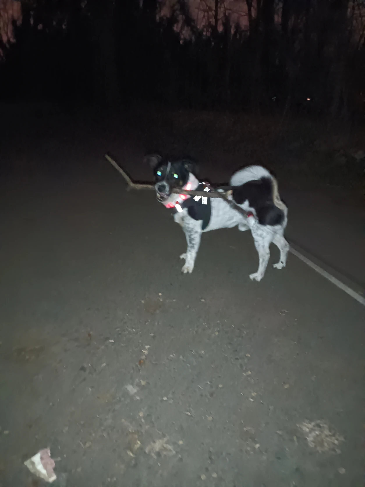 image-9