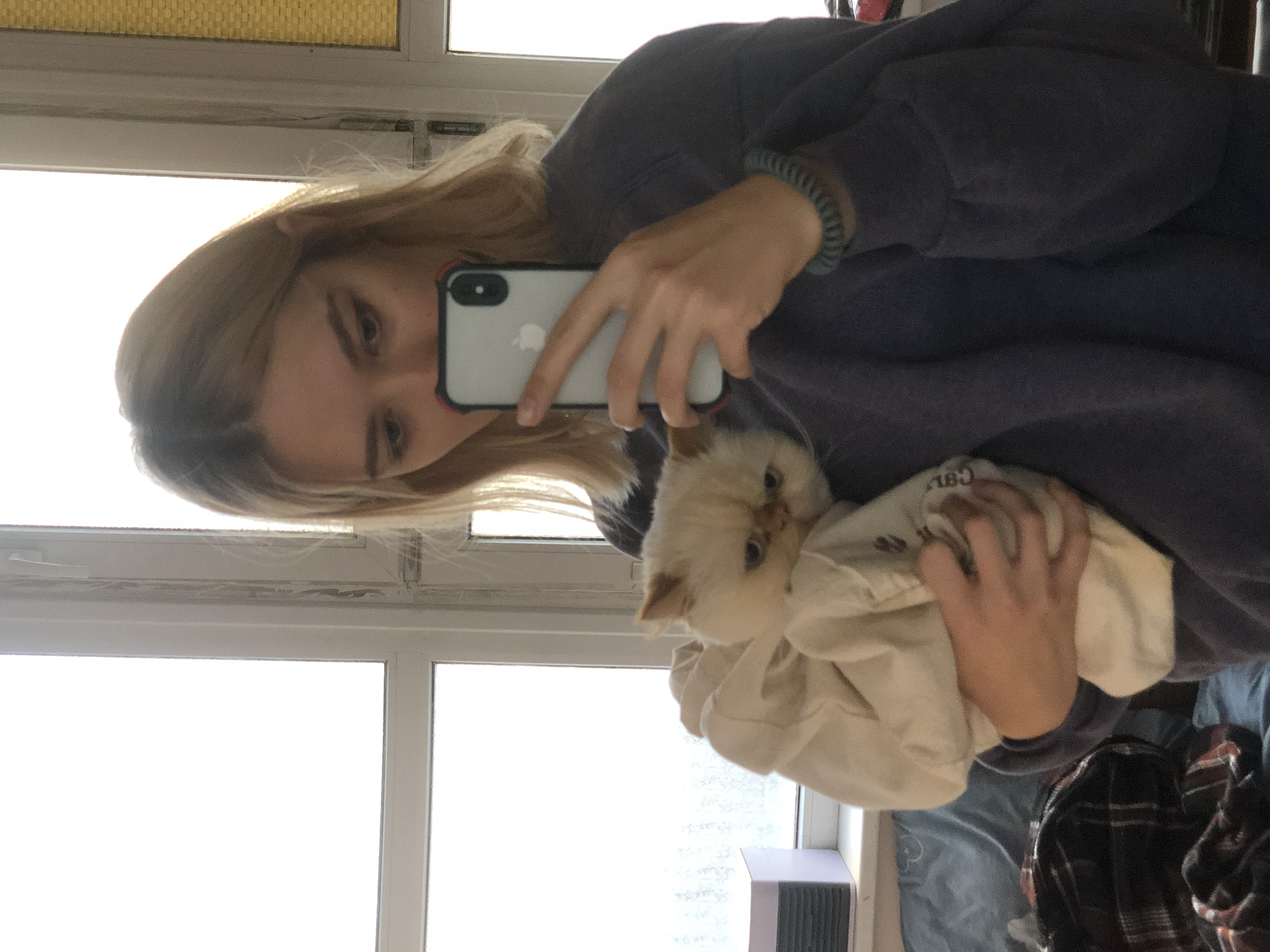 image-12