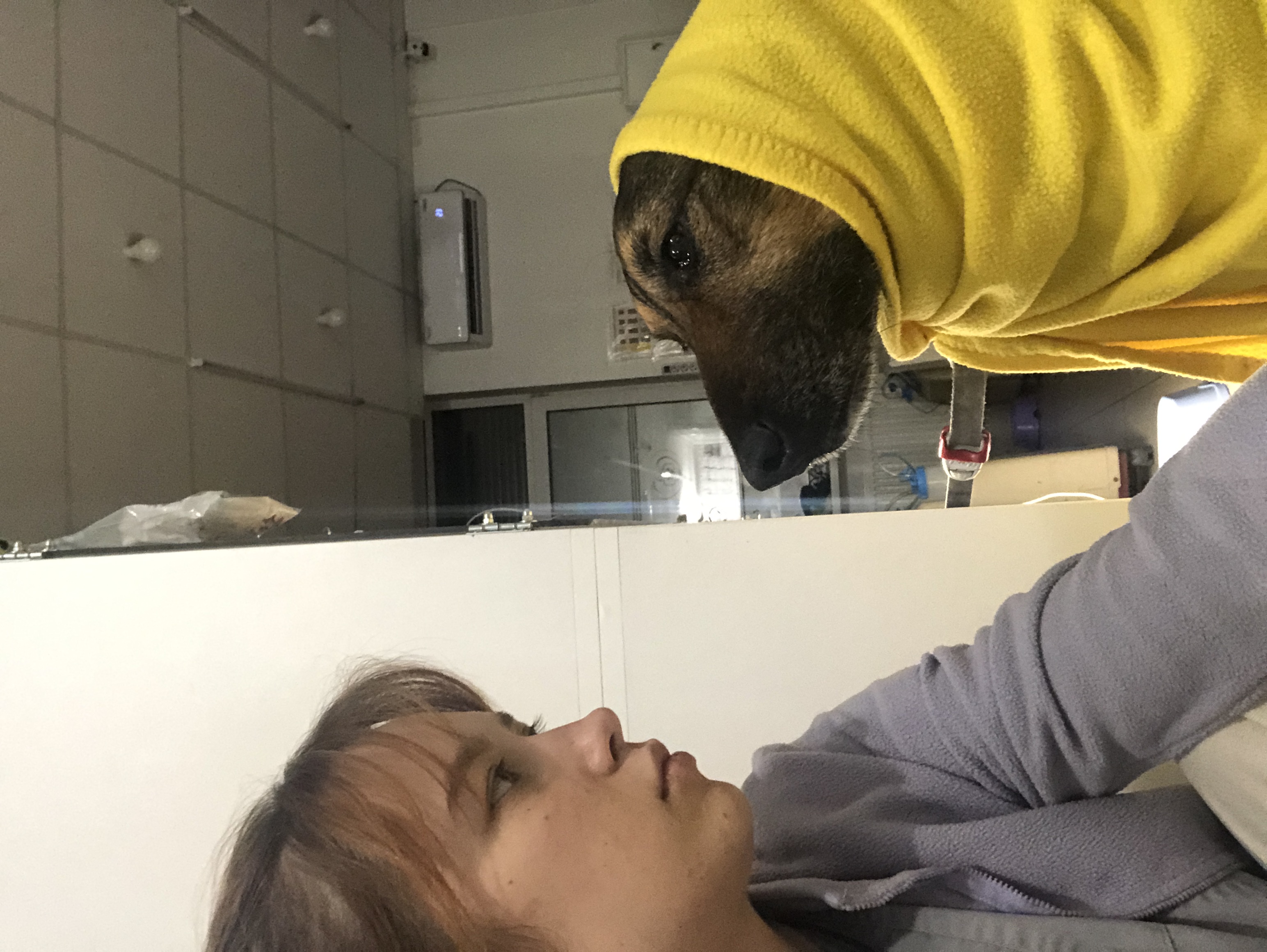 image-10