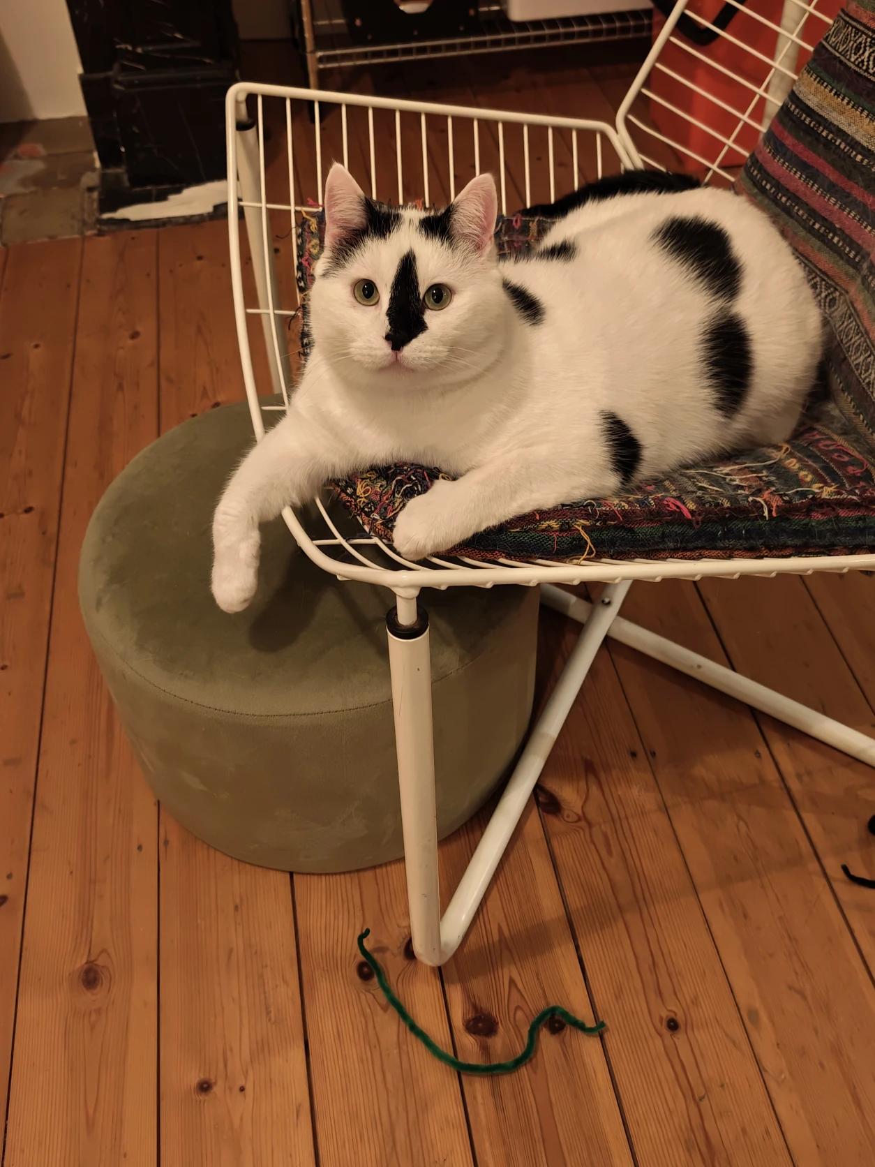image-6