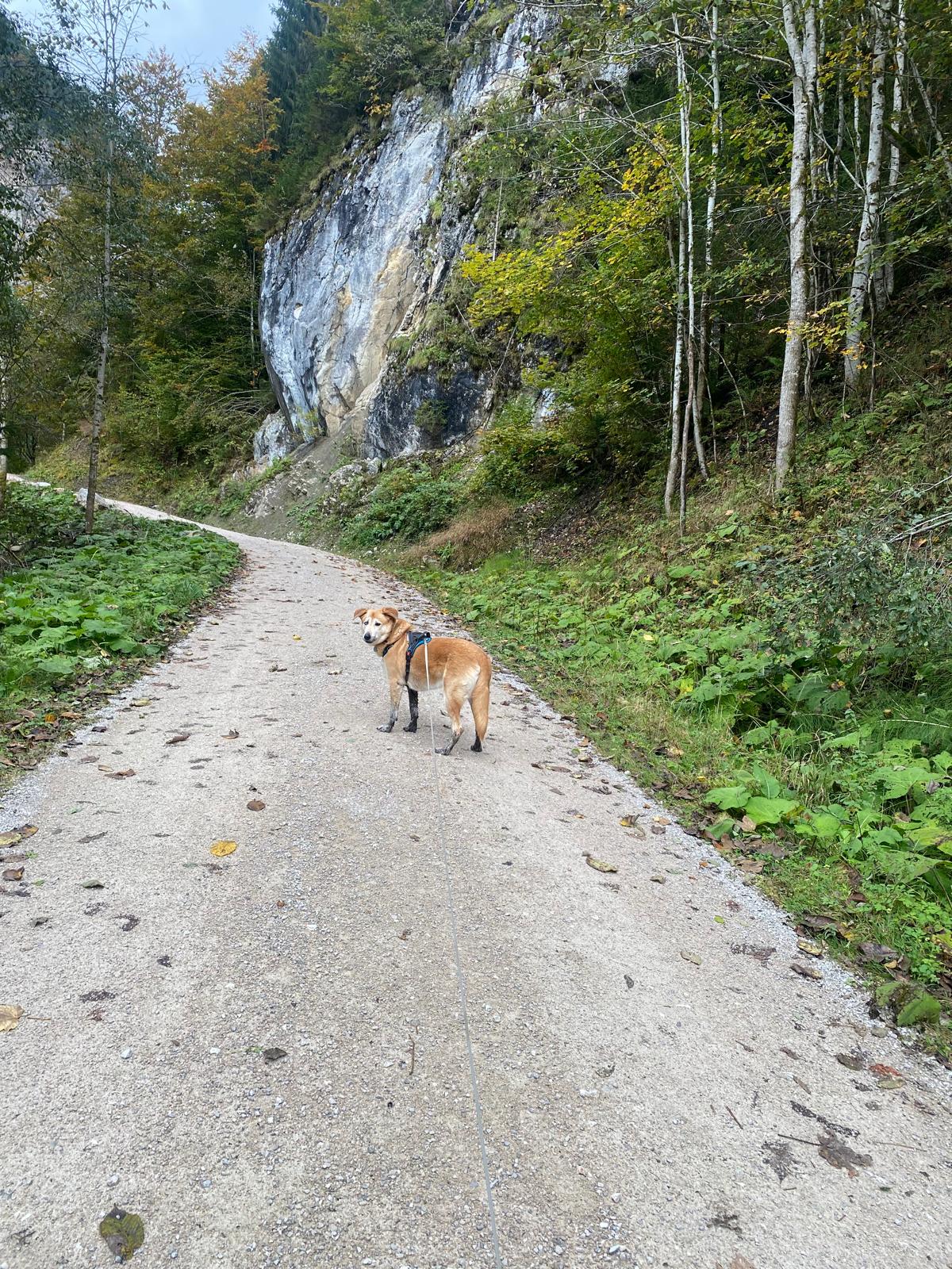 image-14
