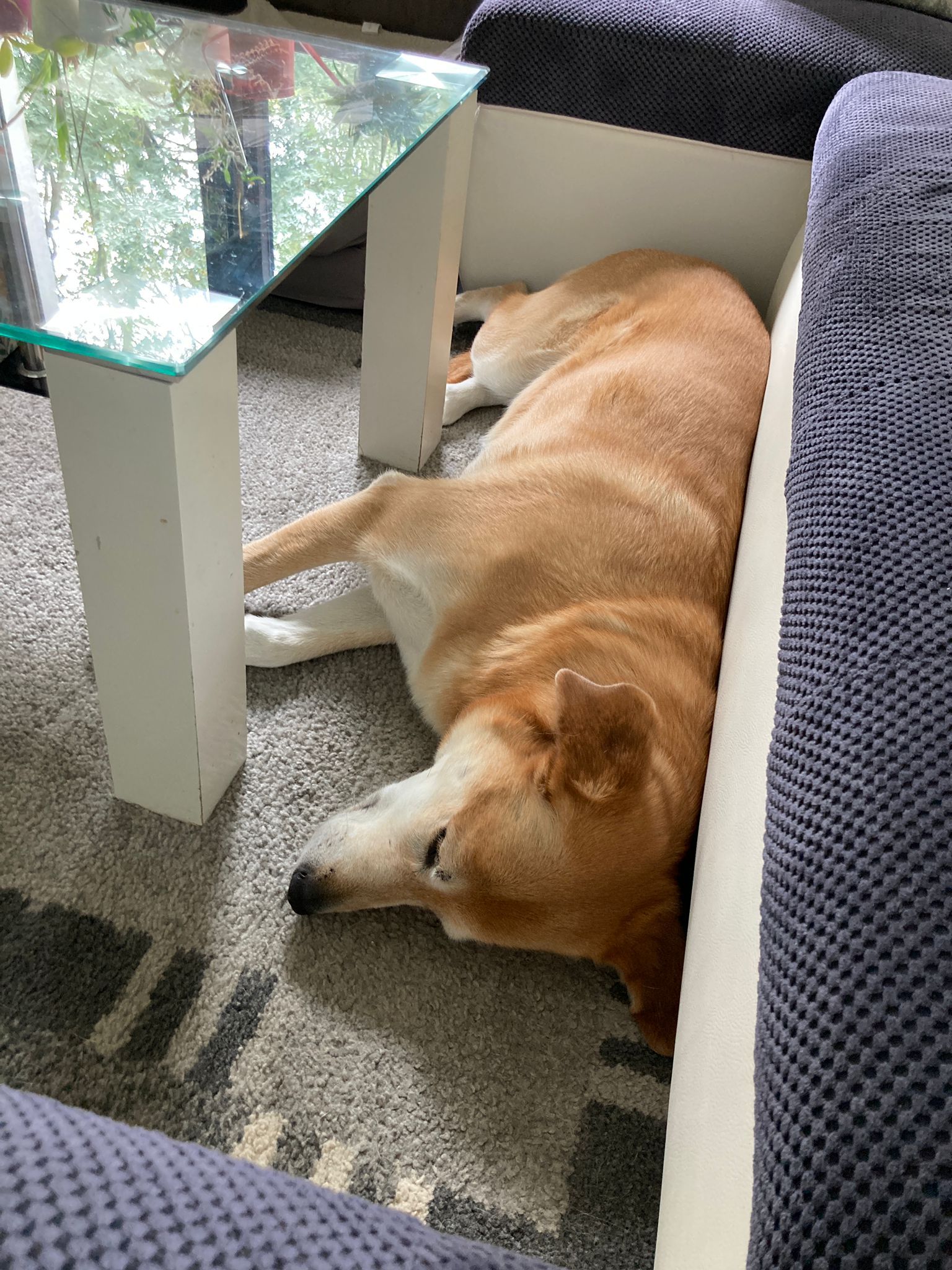 image-18