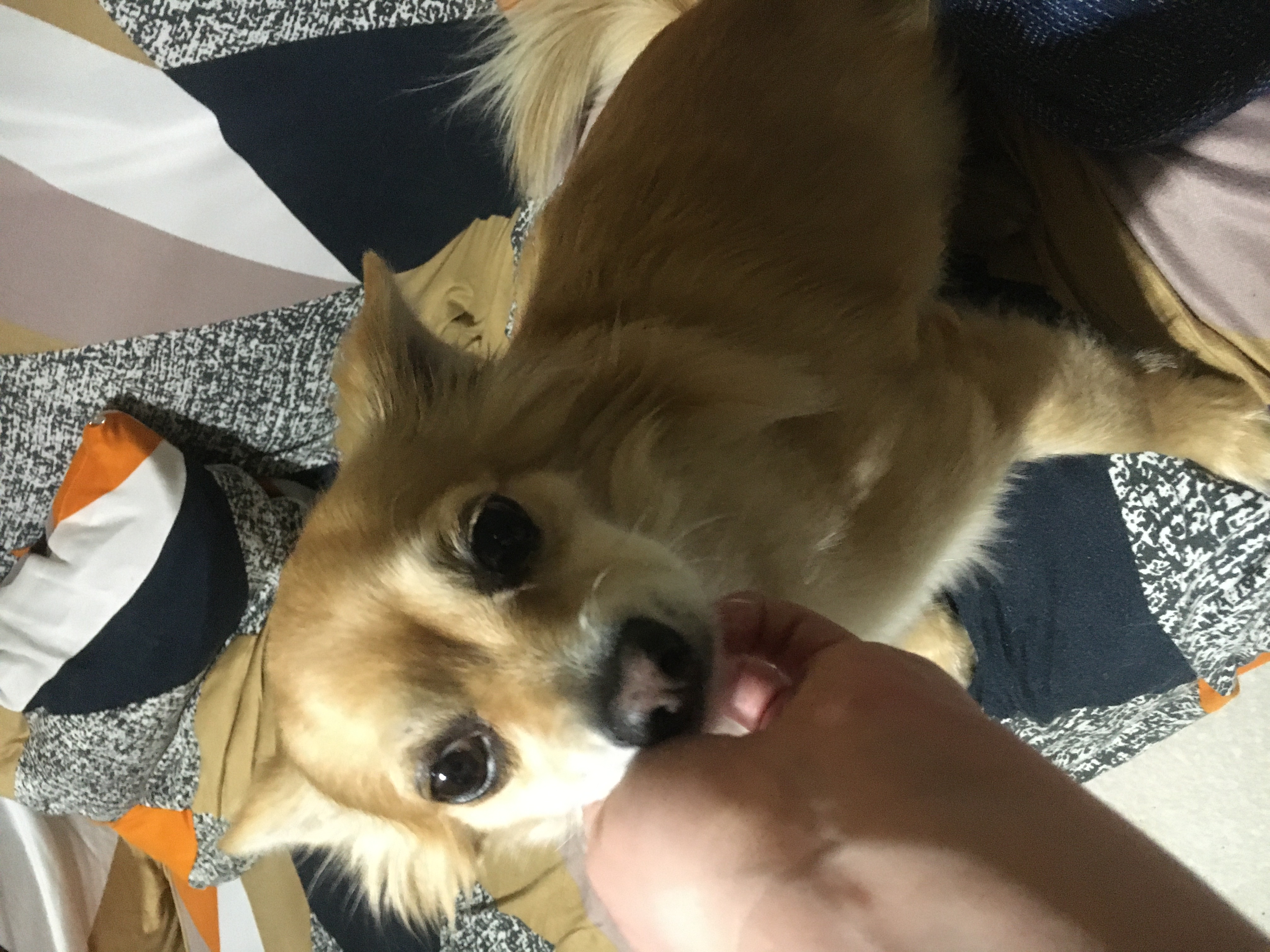 image-9