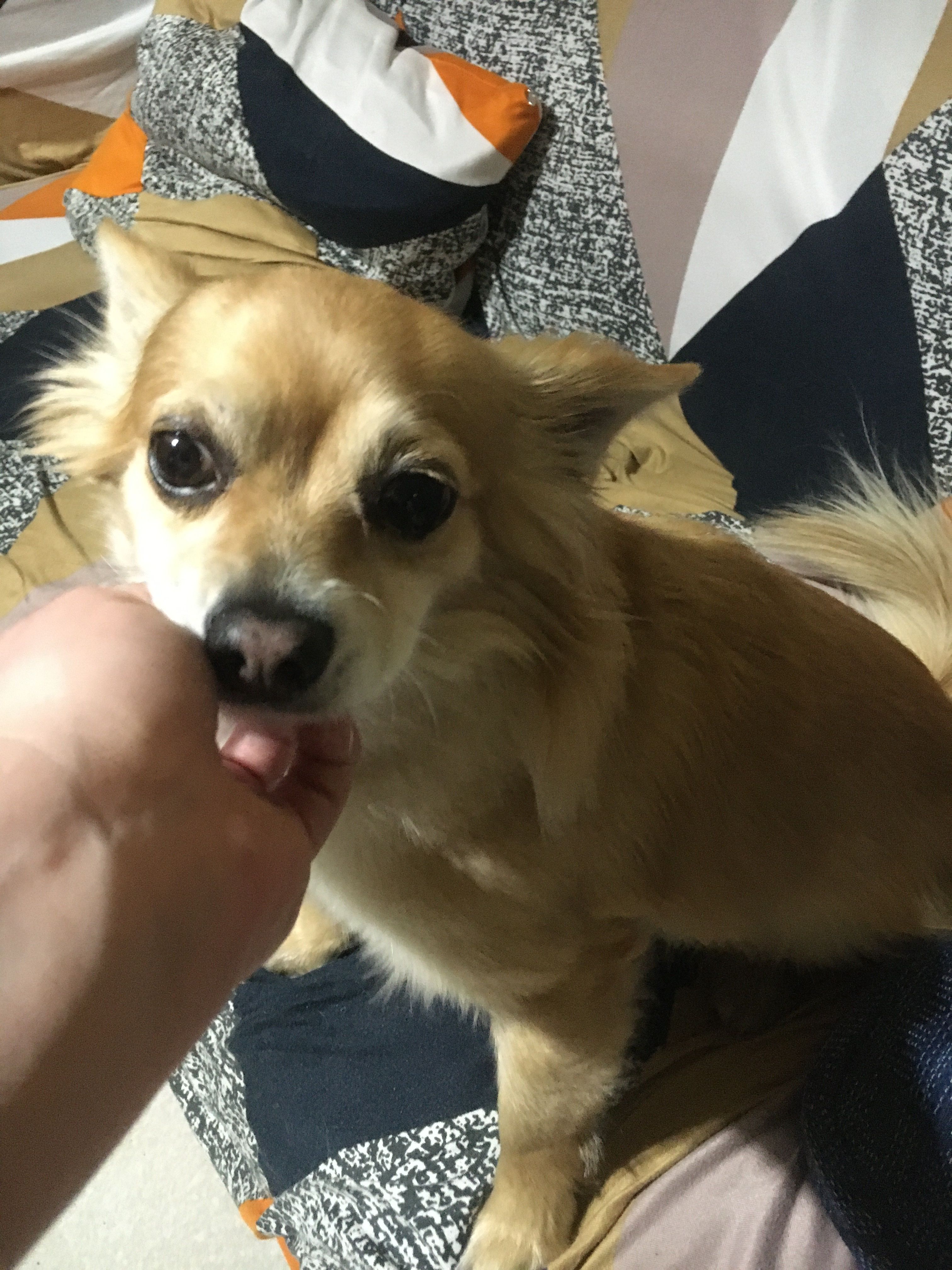 image-9
