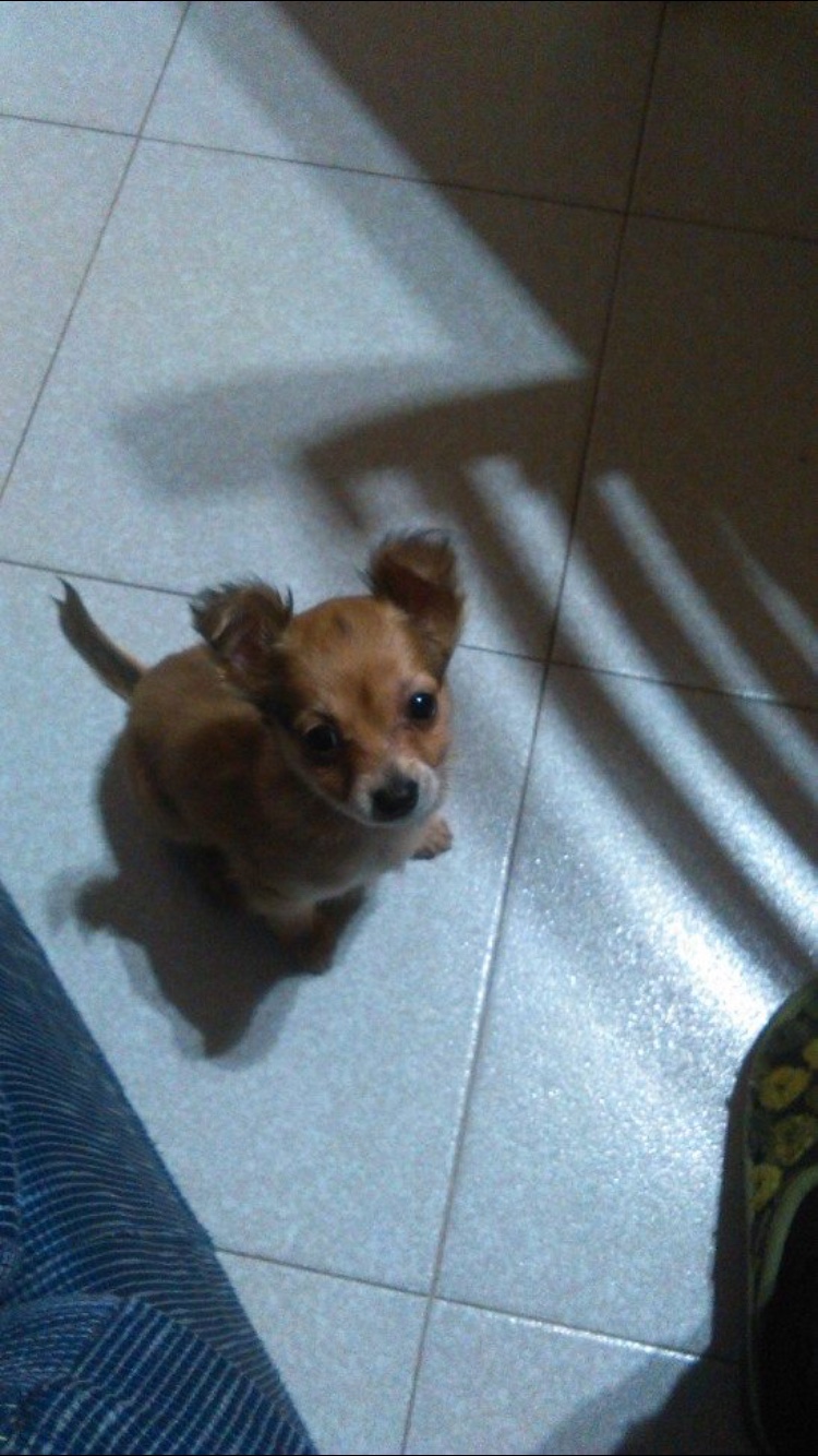 image-8