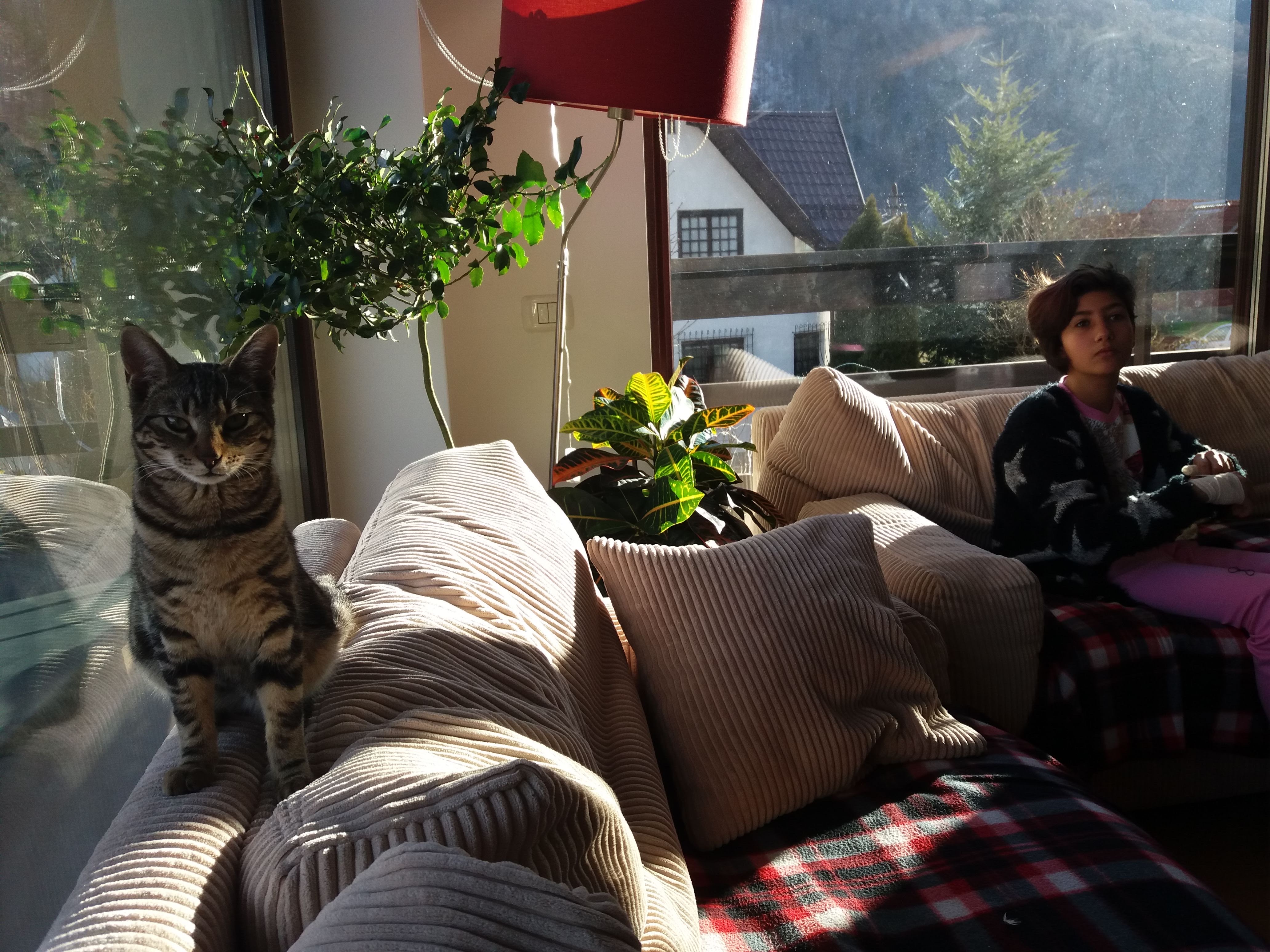 image-6
