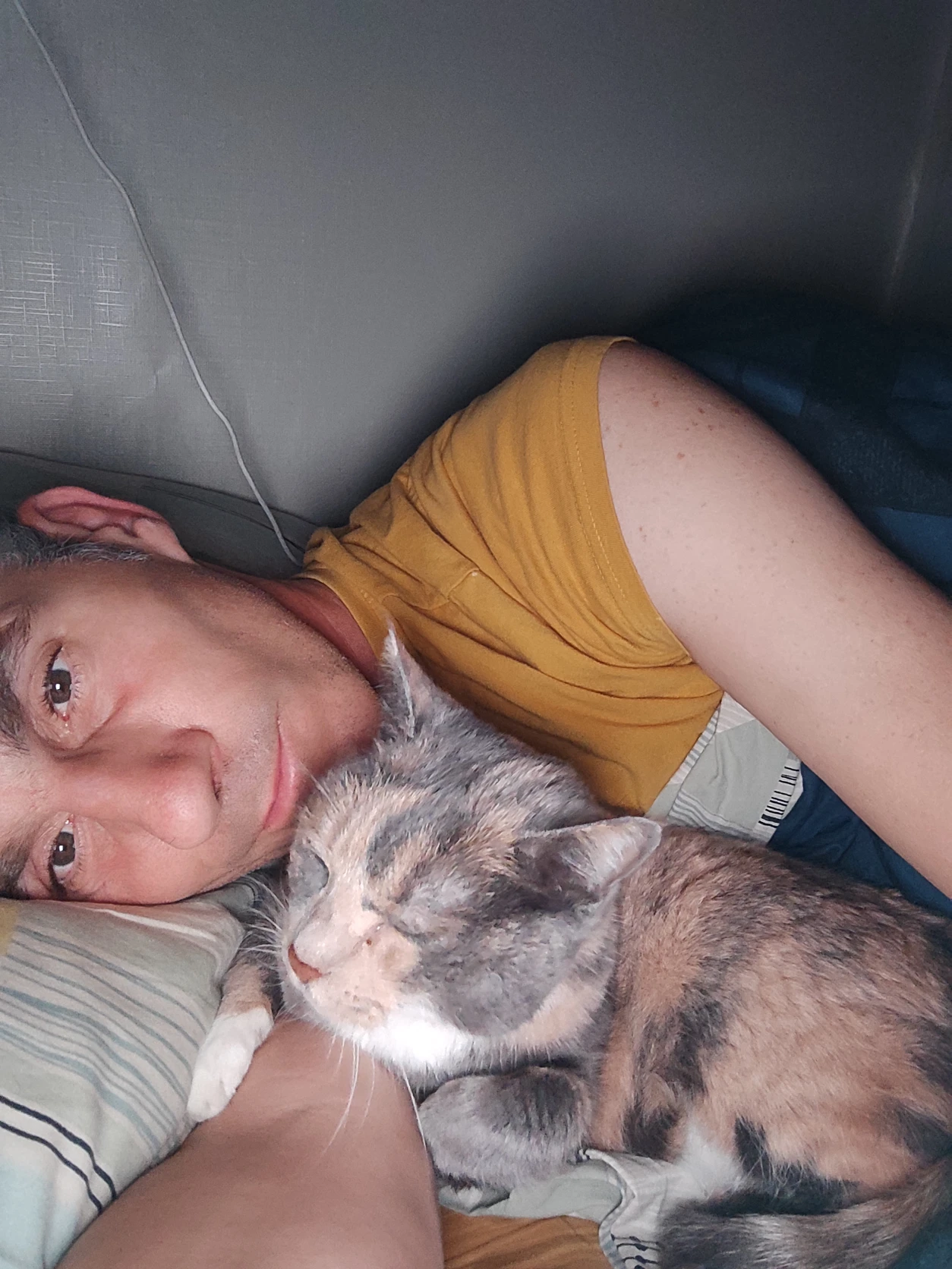 image-6