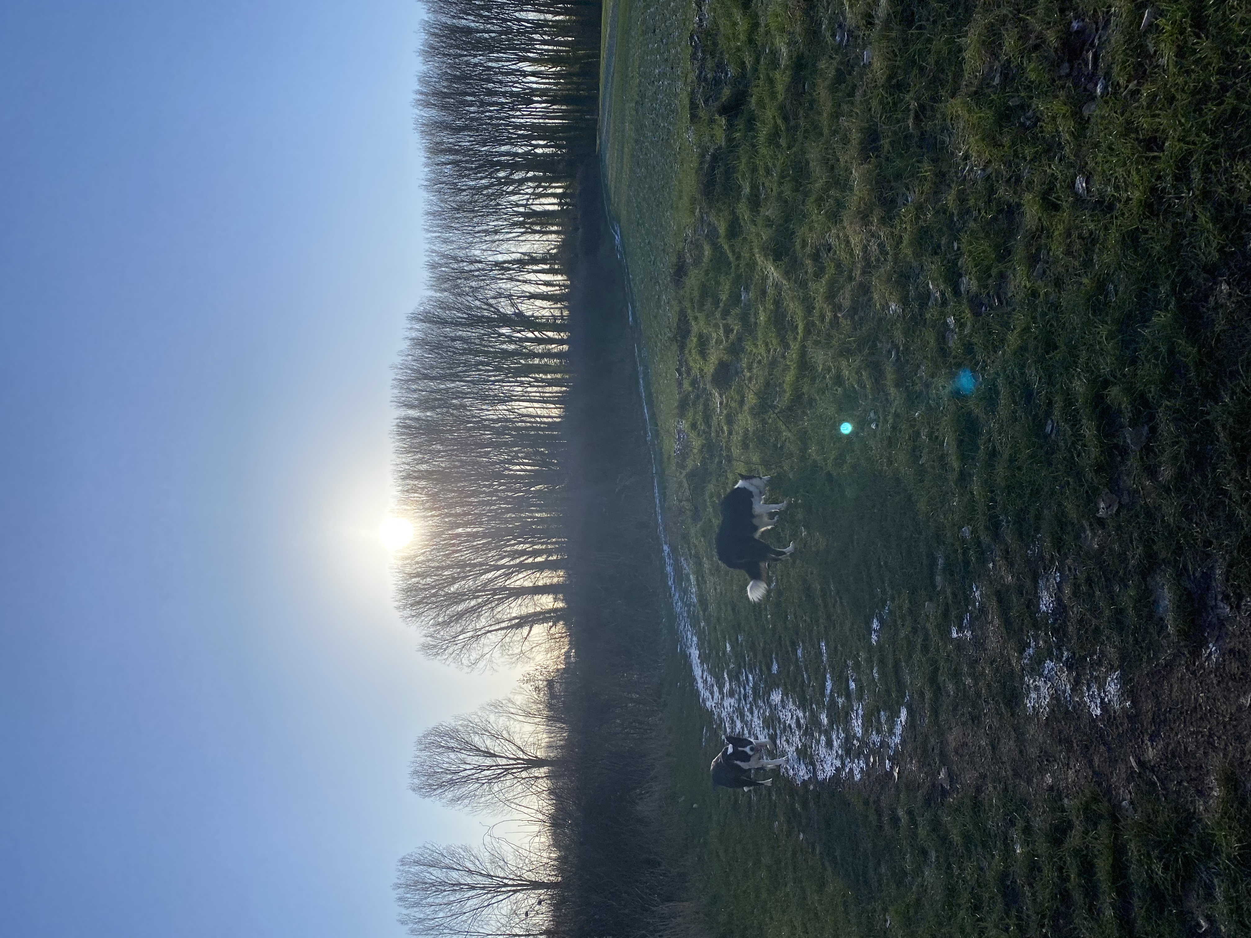 image-16