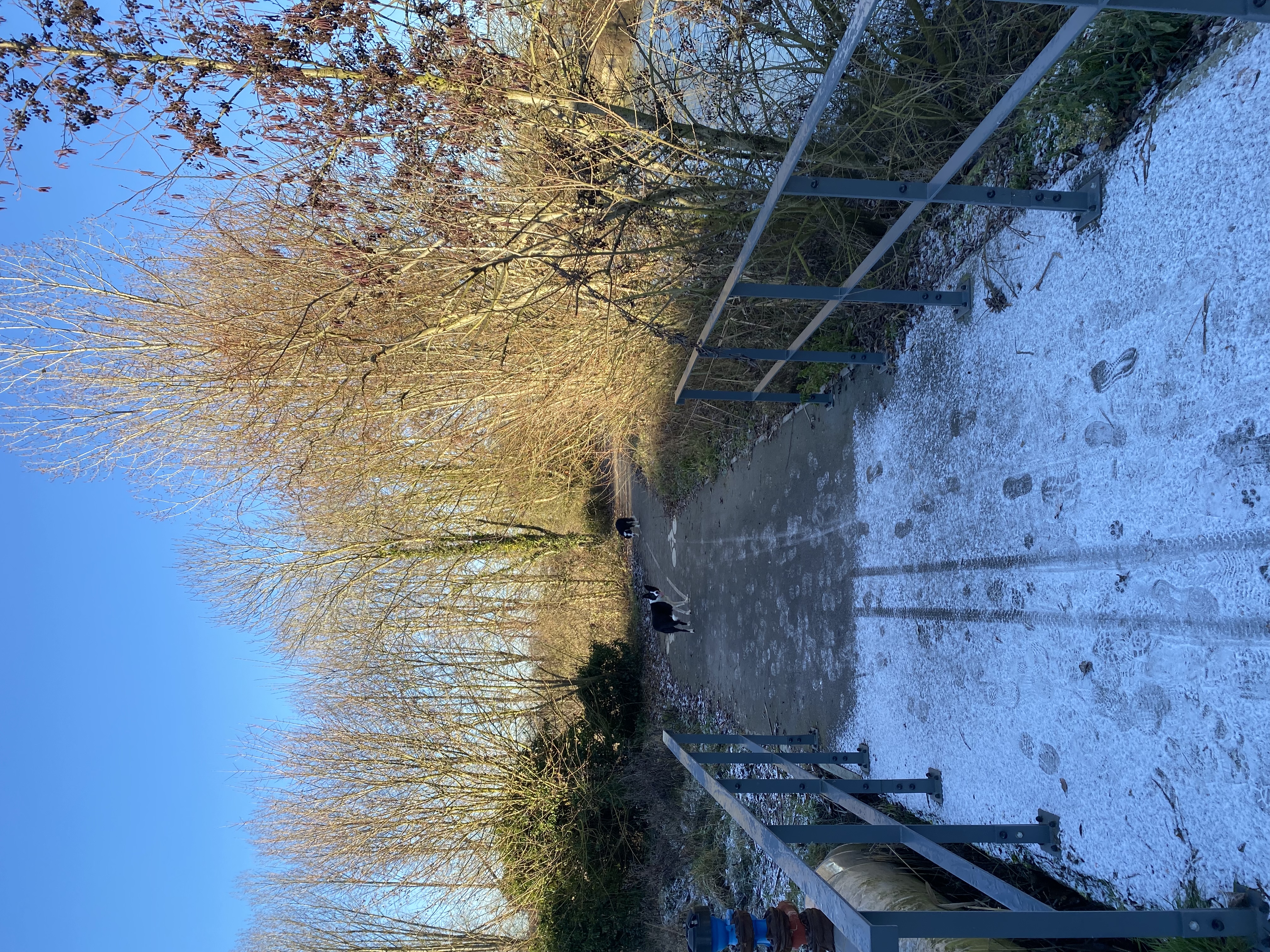 image-12