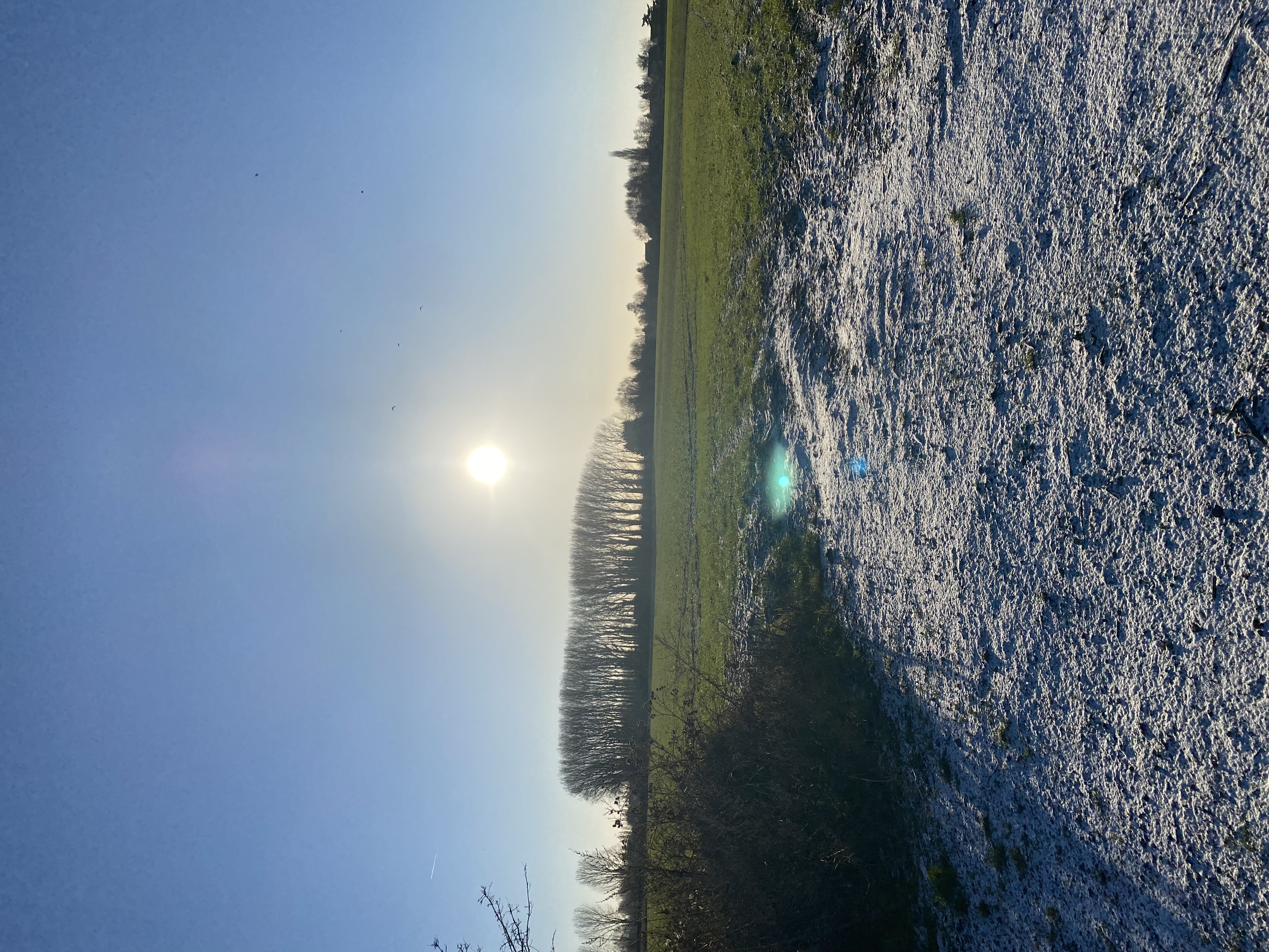 image-15