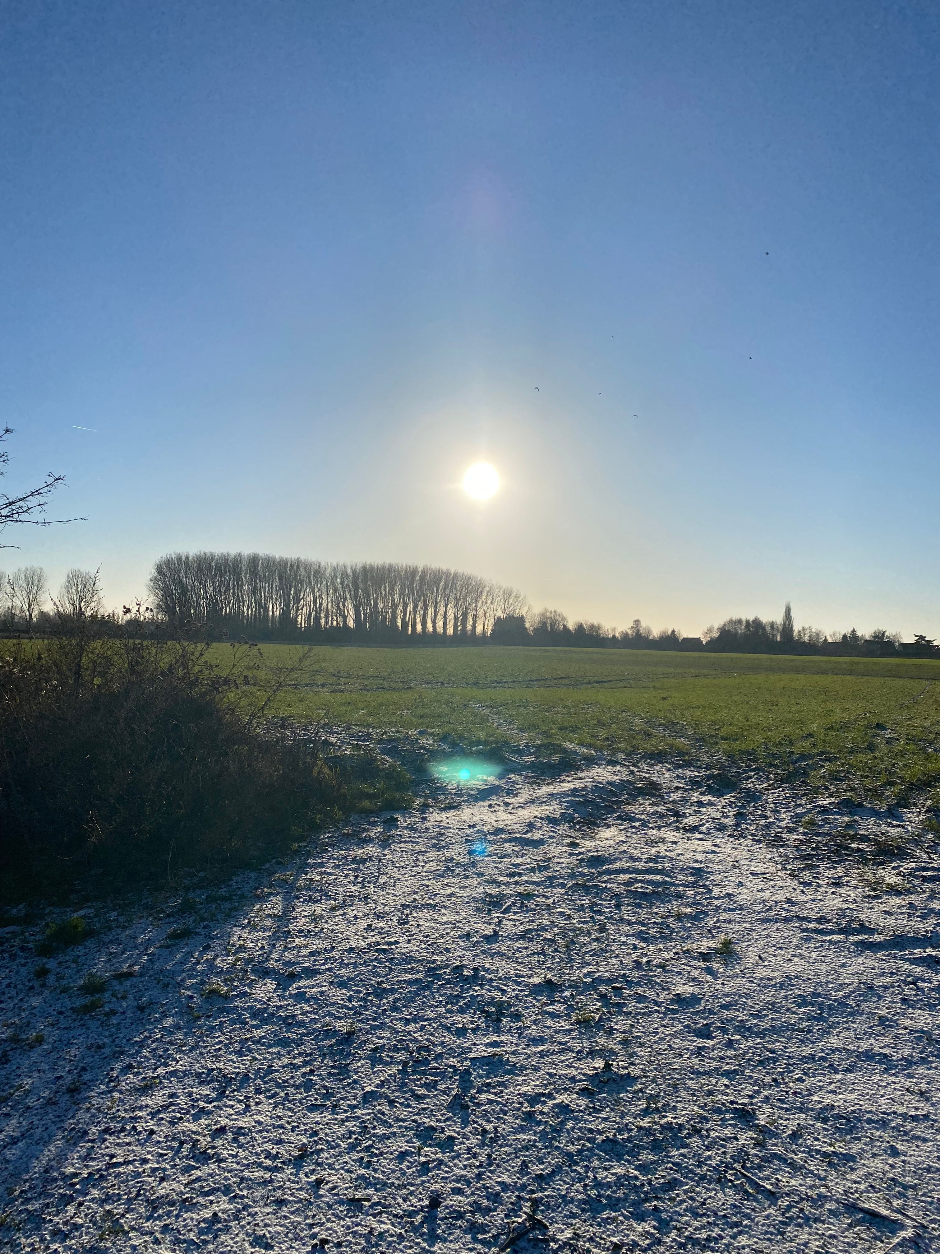 image-15