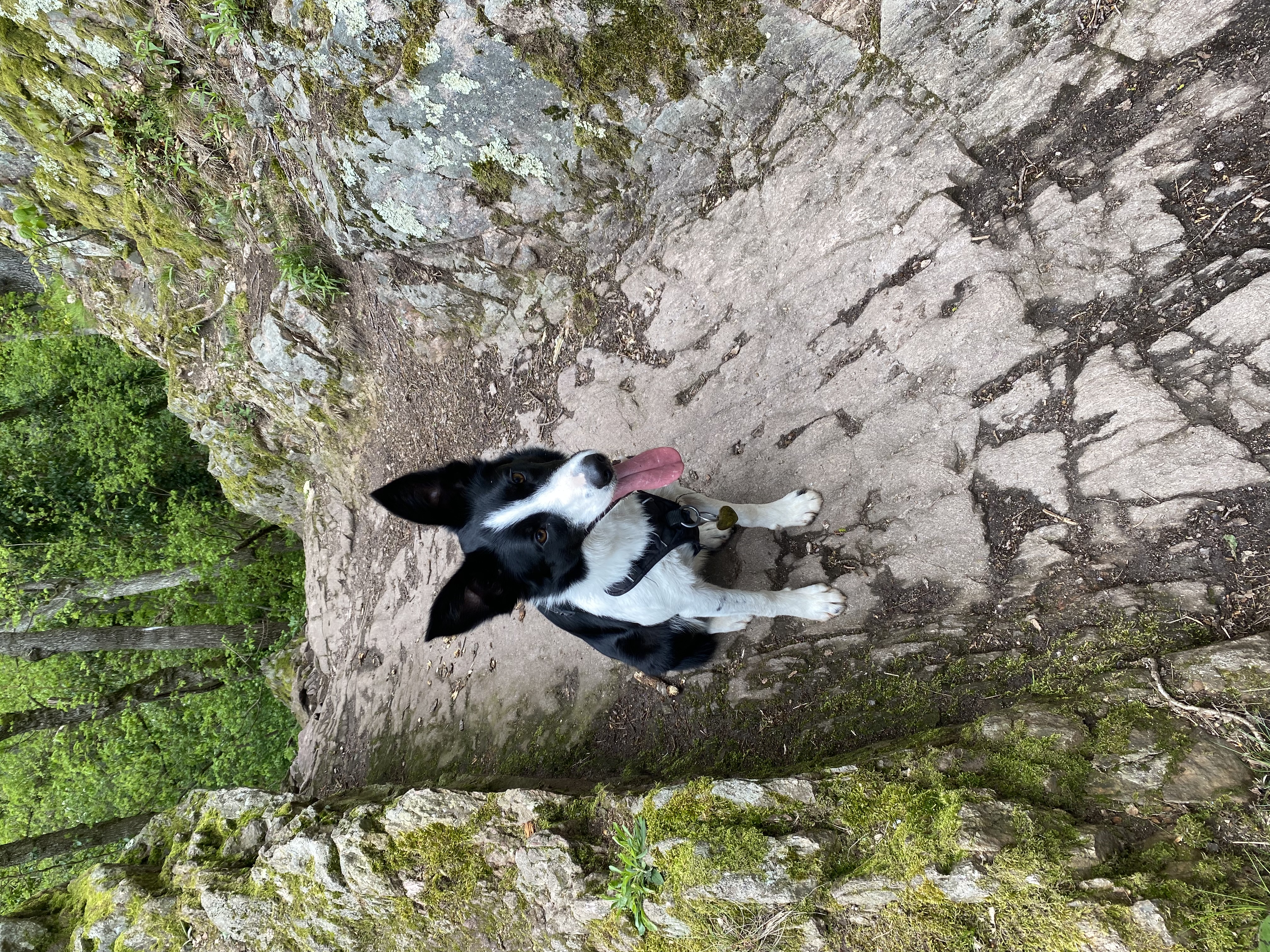 image-8