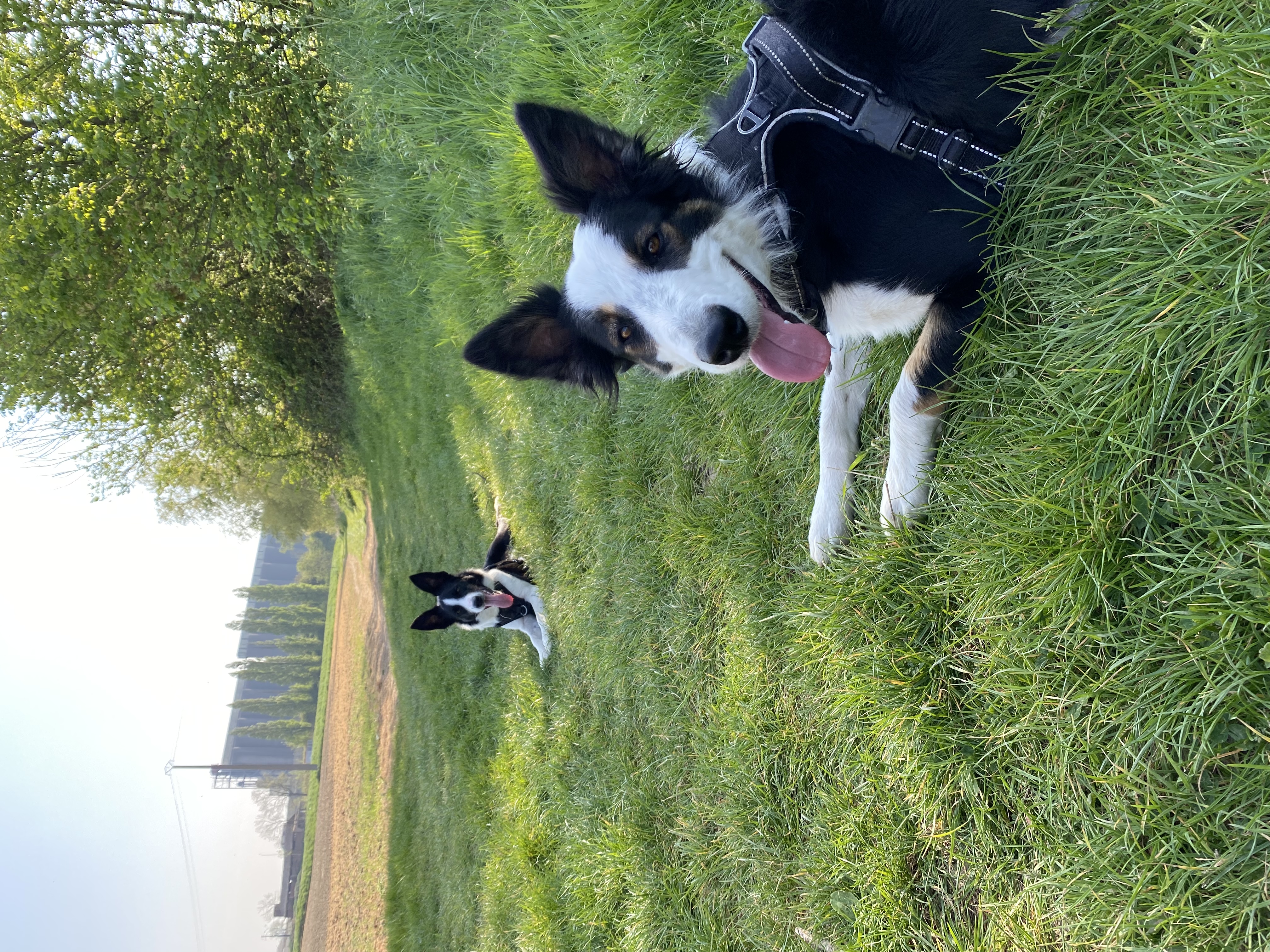 image-7