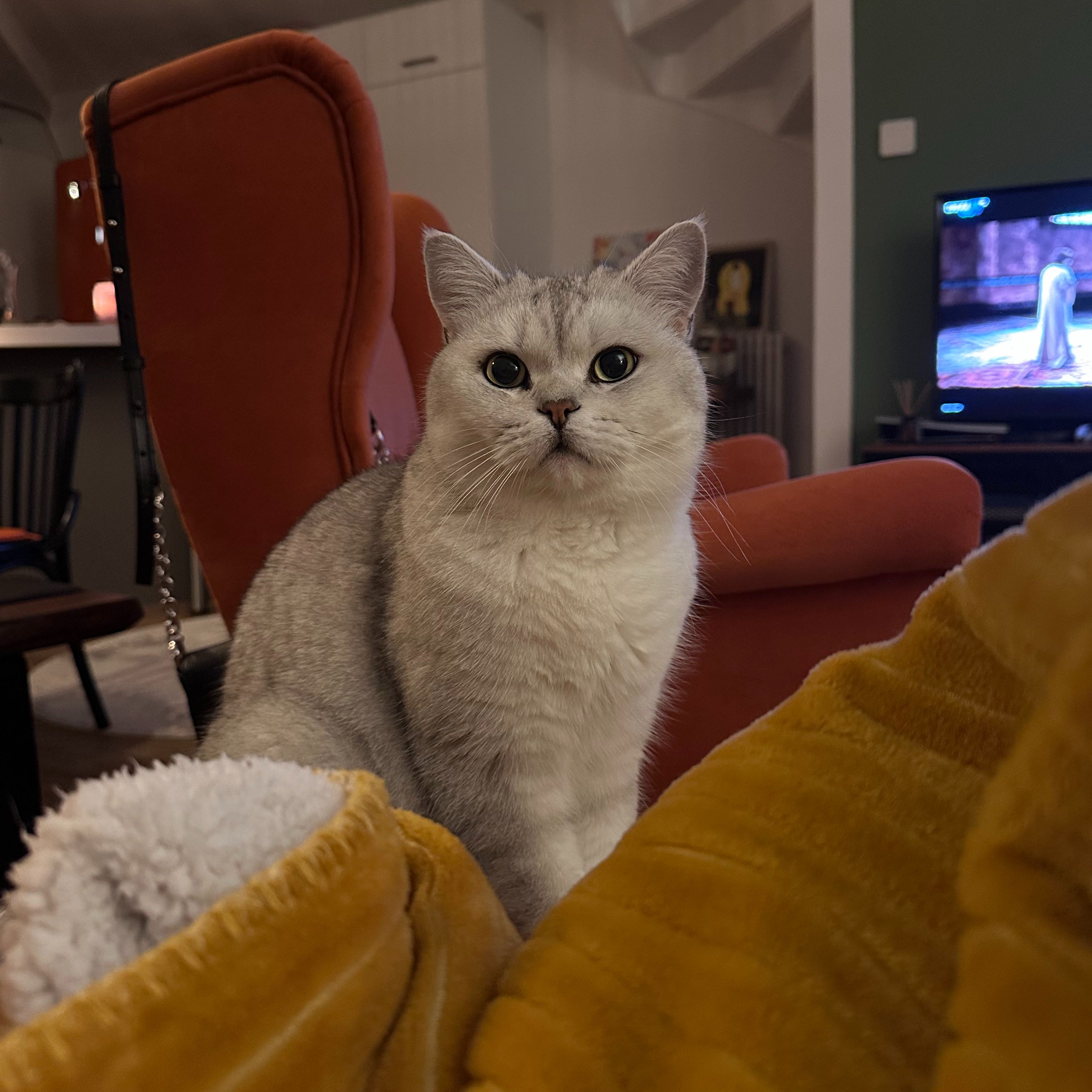 Leo